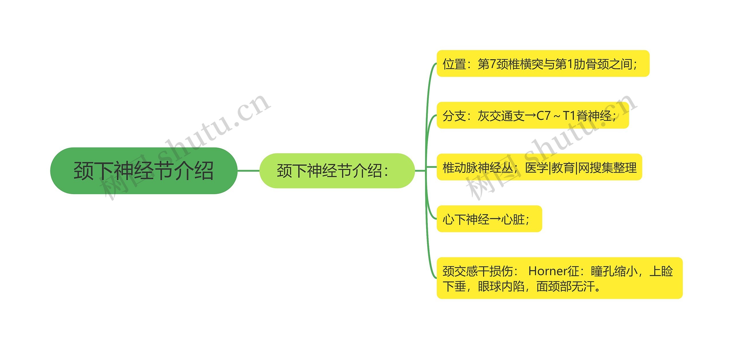 颈下神经节介绍思维导图