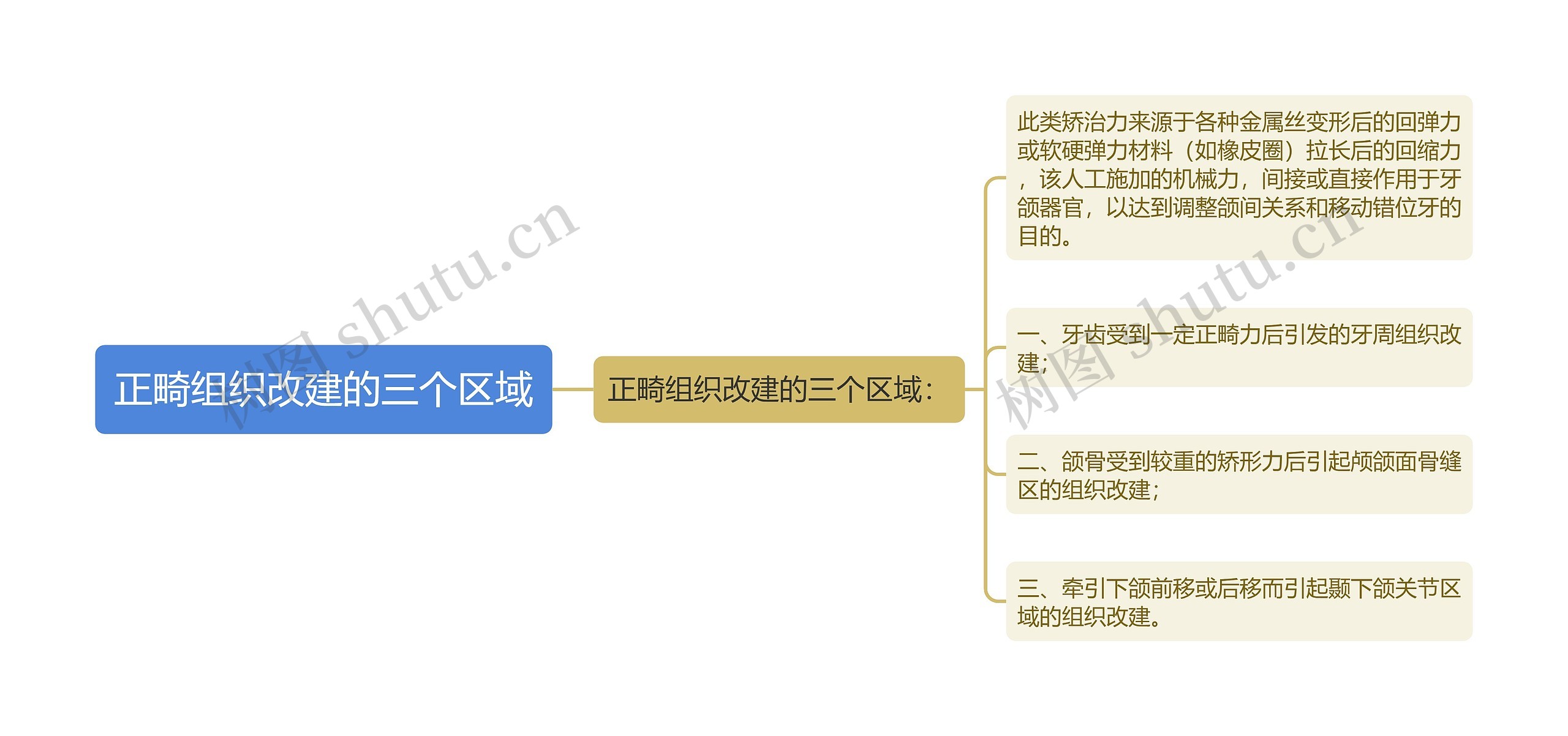 正畸组织改建的三个区域思维导图