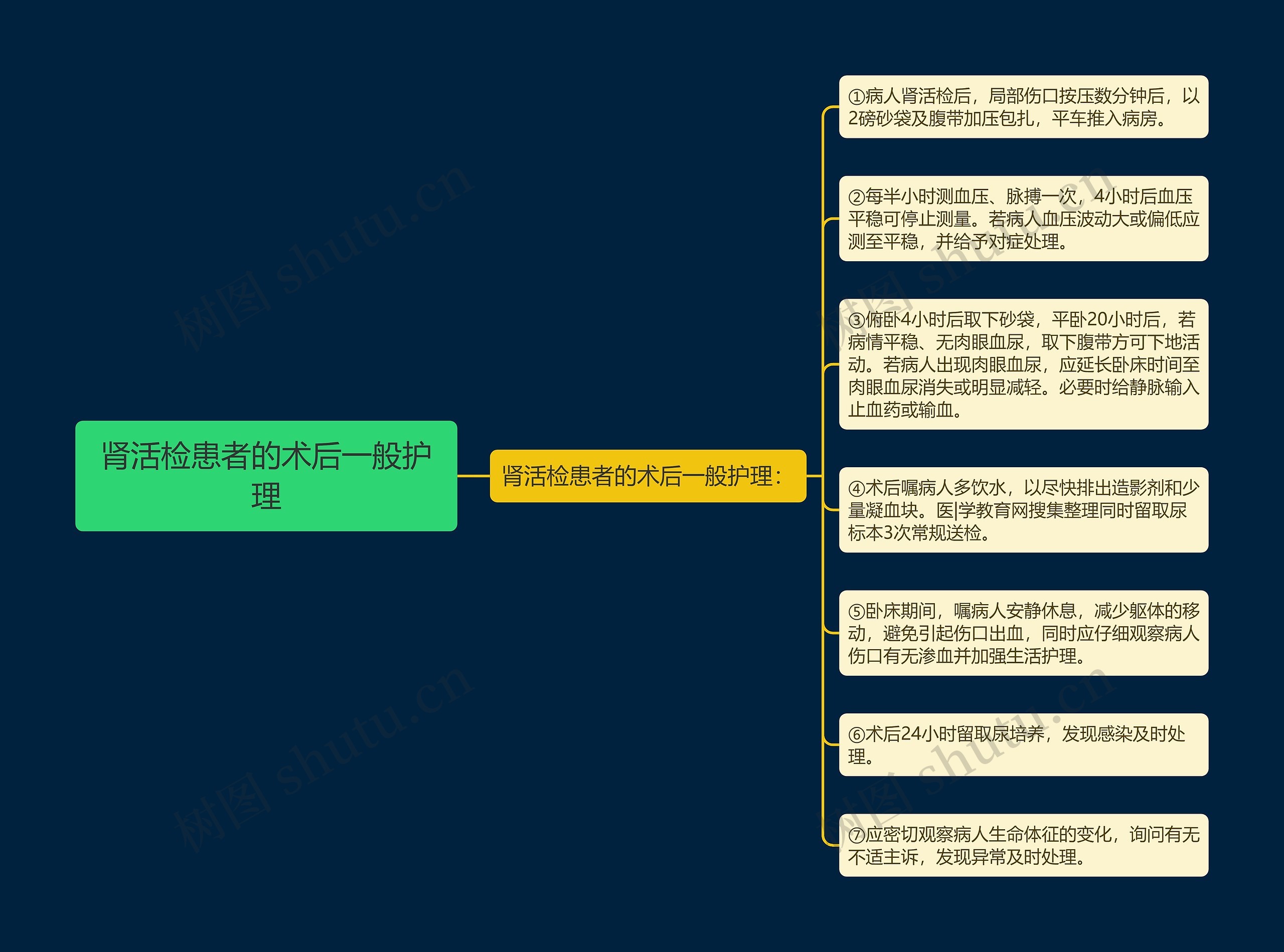 肾活检患者的术后一般护理思维导图