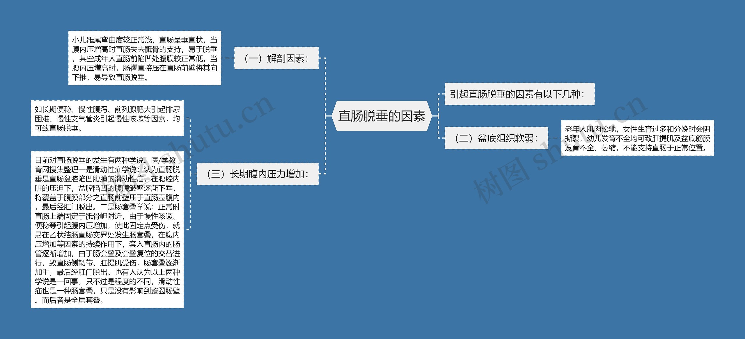 直肠脱垂的因素思维导图