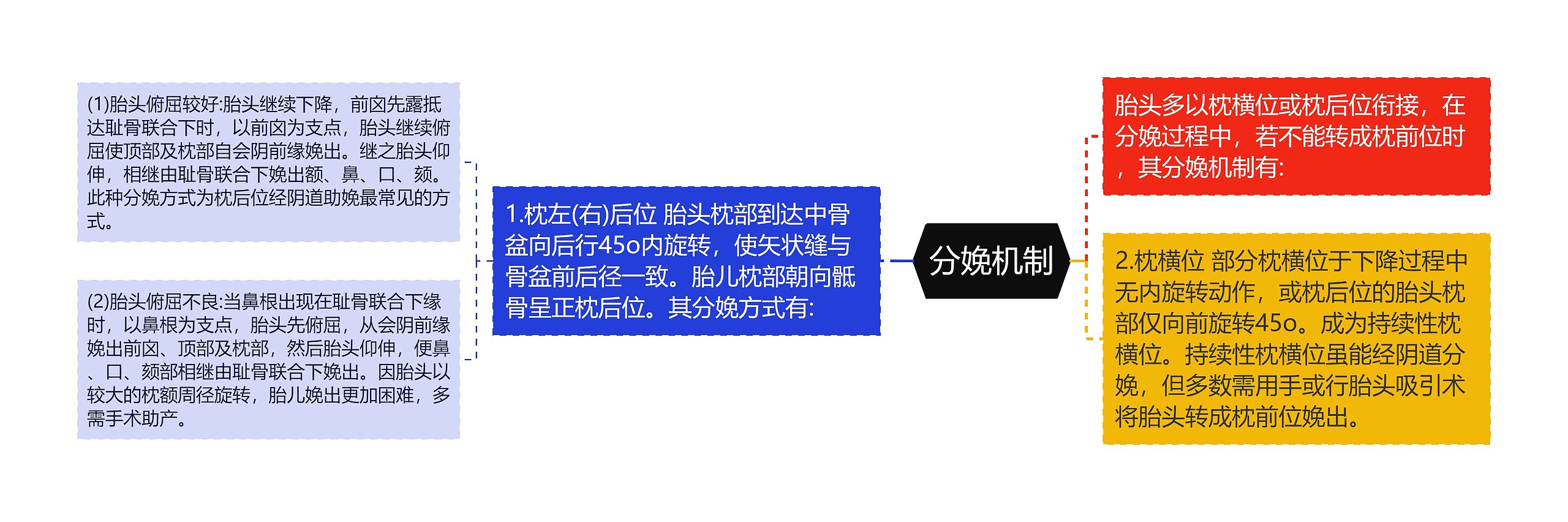 分娩机制 分娩机制