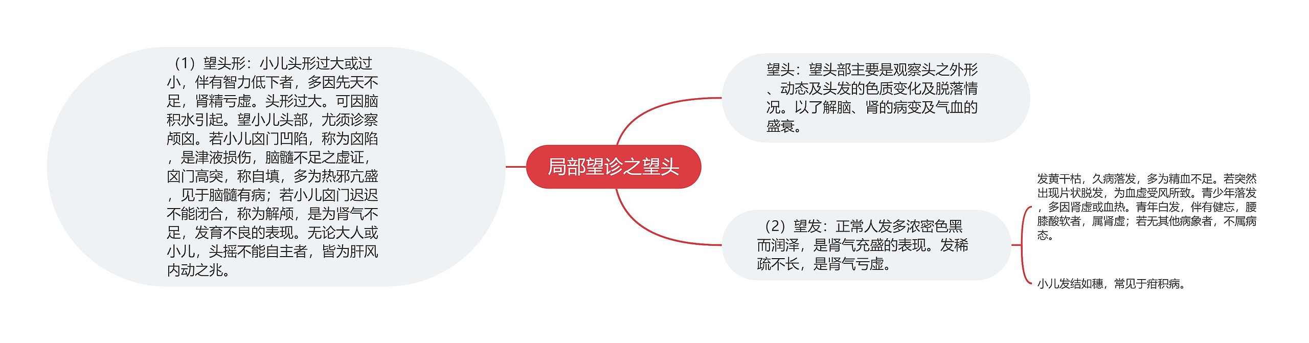 局部望诊之望头思维导图