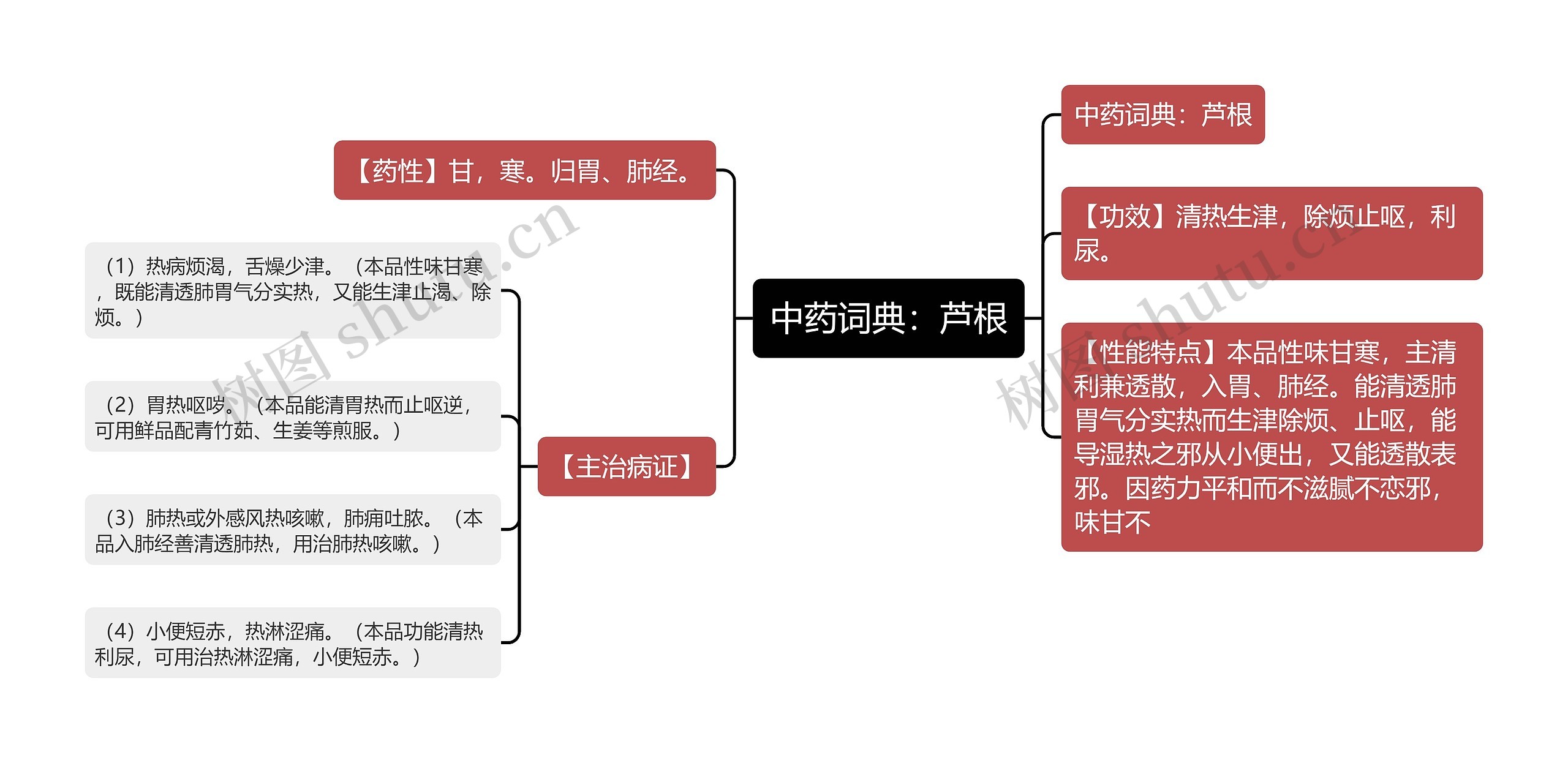 中药词典：芦根