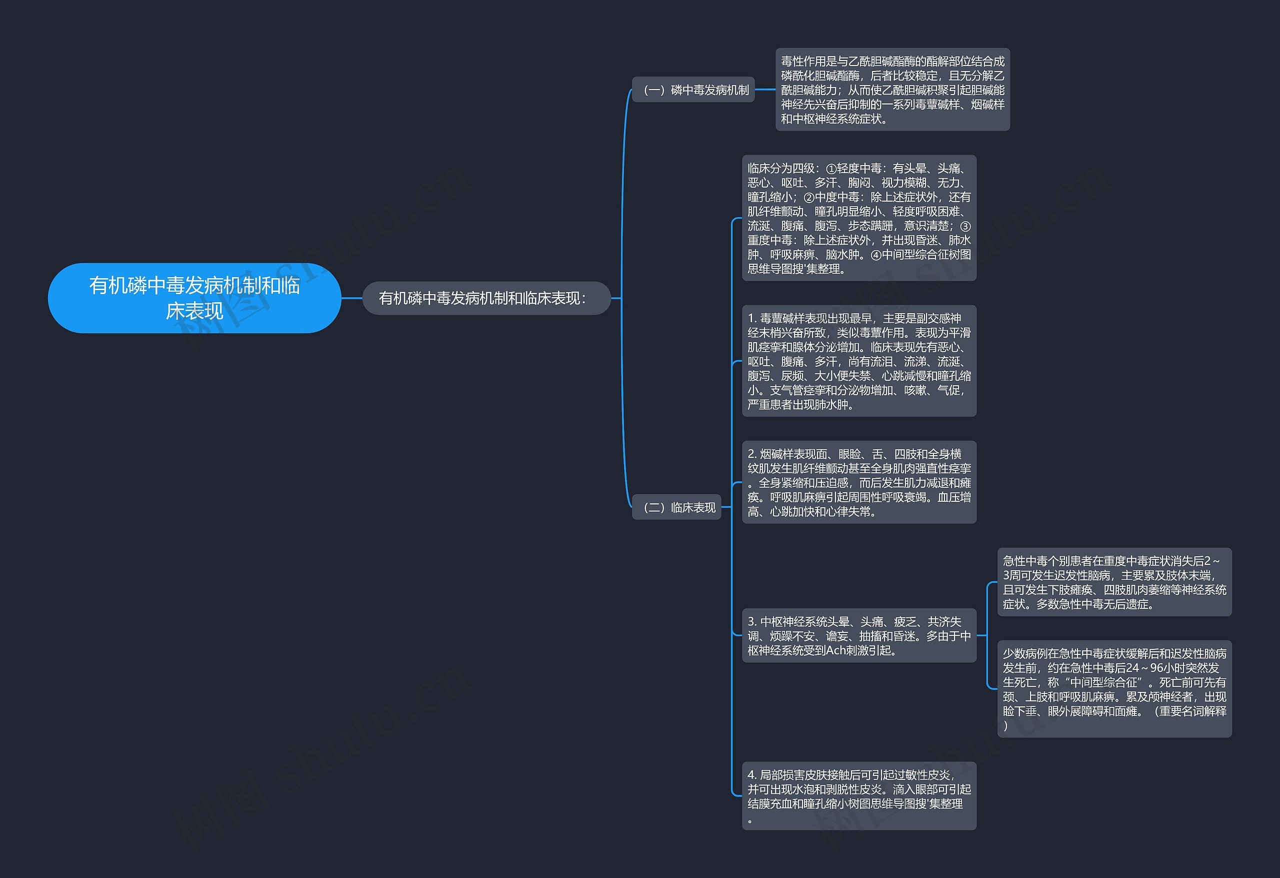 有机磷中毒发病机制和临床表现思维导图