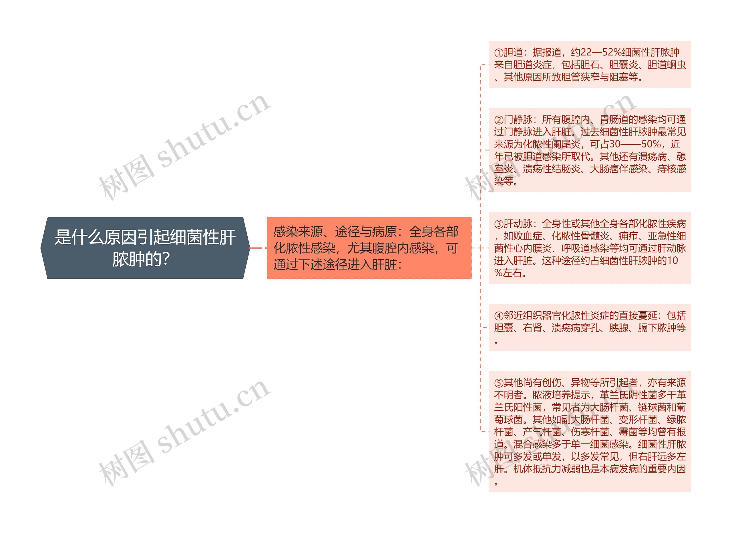 是什么原因引起细菌性肝脓肿的？思维导图