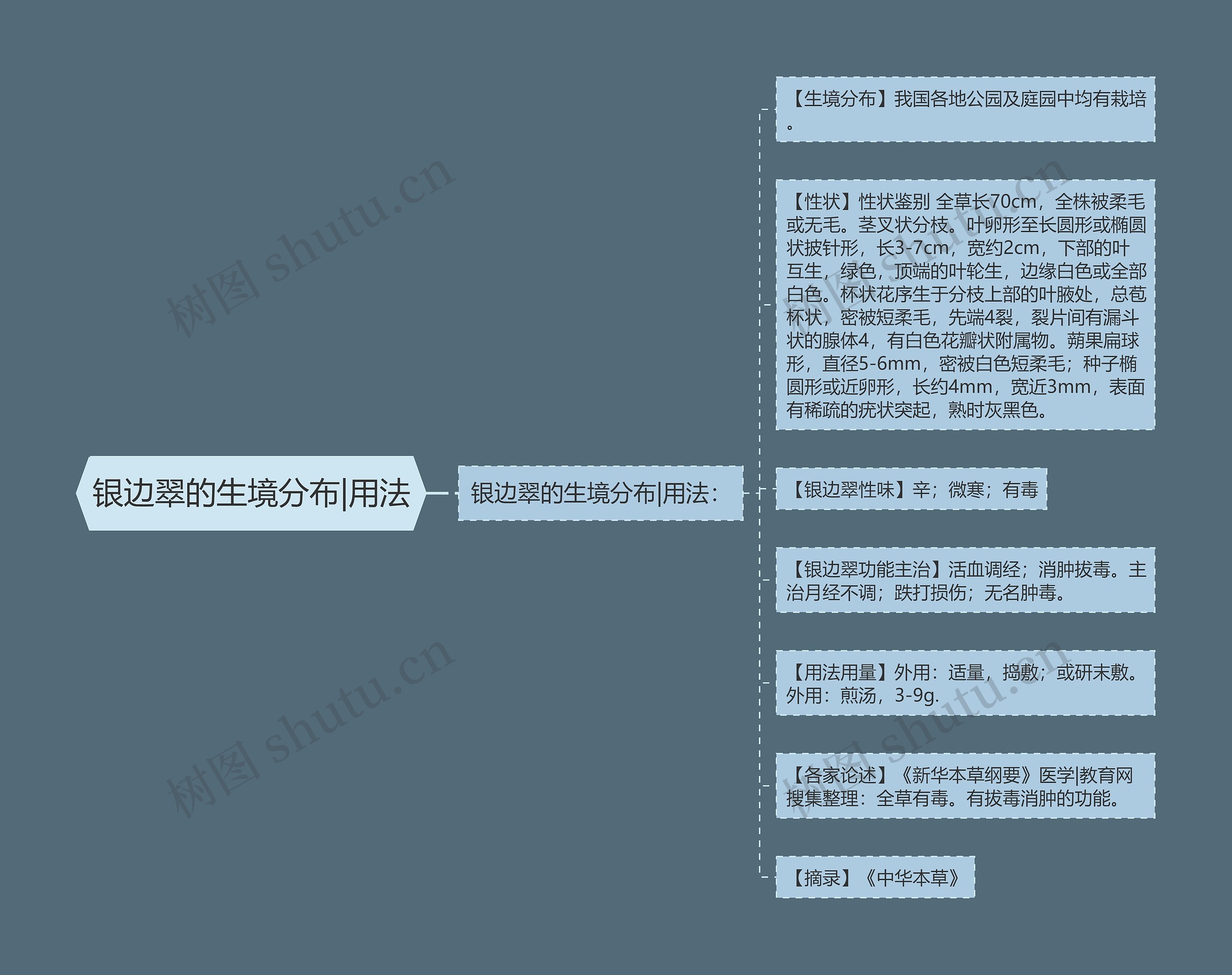 银边翠的生境分布|用法