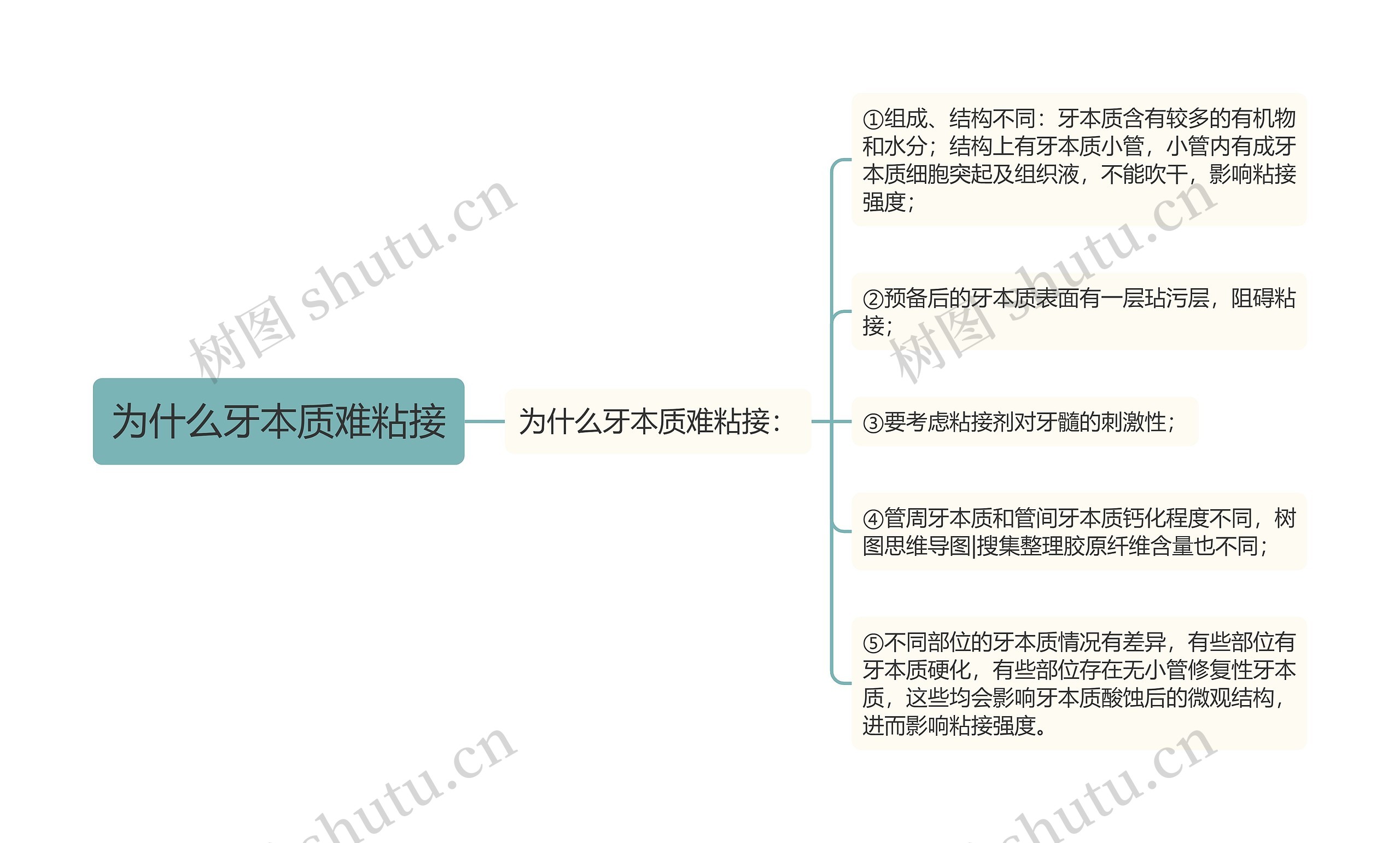 为什么牙本质难粘接思维导图