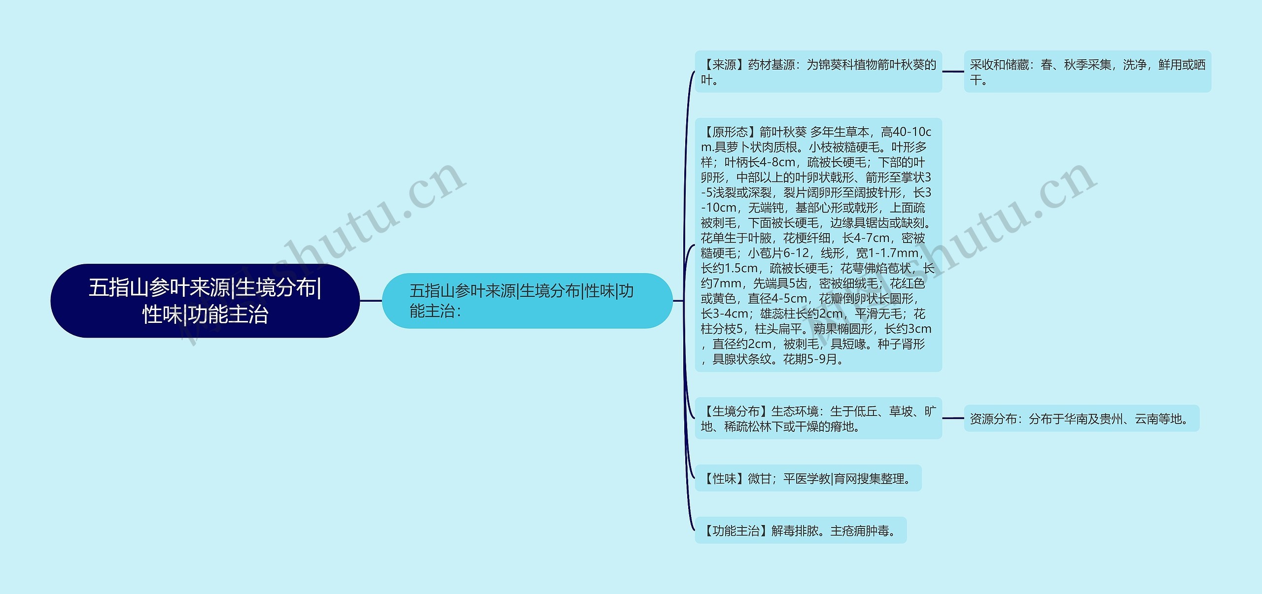 五指山参叶来源|生境分布|性味|功能主治思维导图