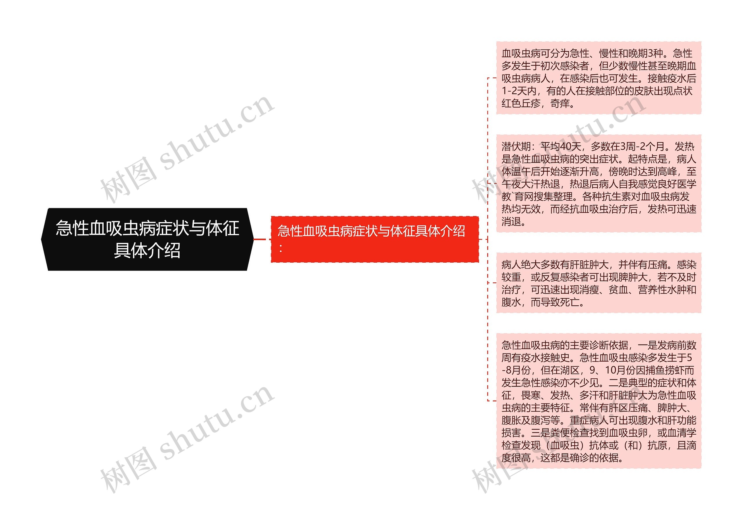 急性血吸虫病症状与体征具体介绍思维导图