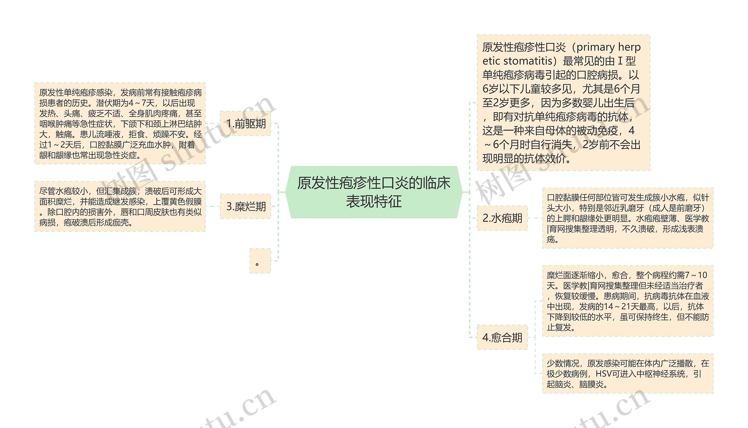 原发性疱疹性口炎的临床表现特征