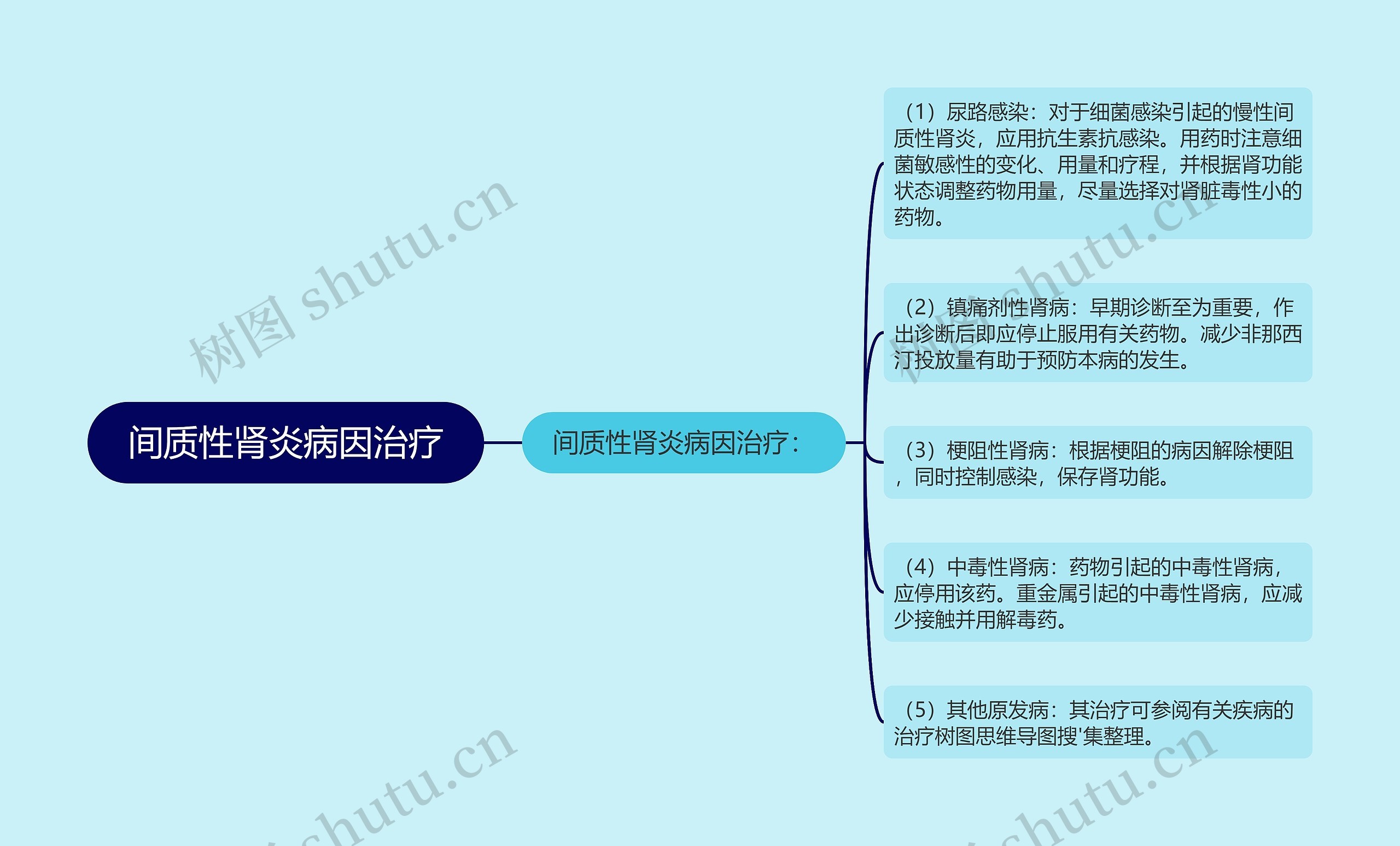 间质性肾炎病因治疗思维导图