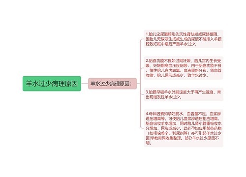 羊水过少病理原因