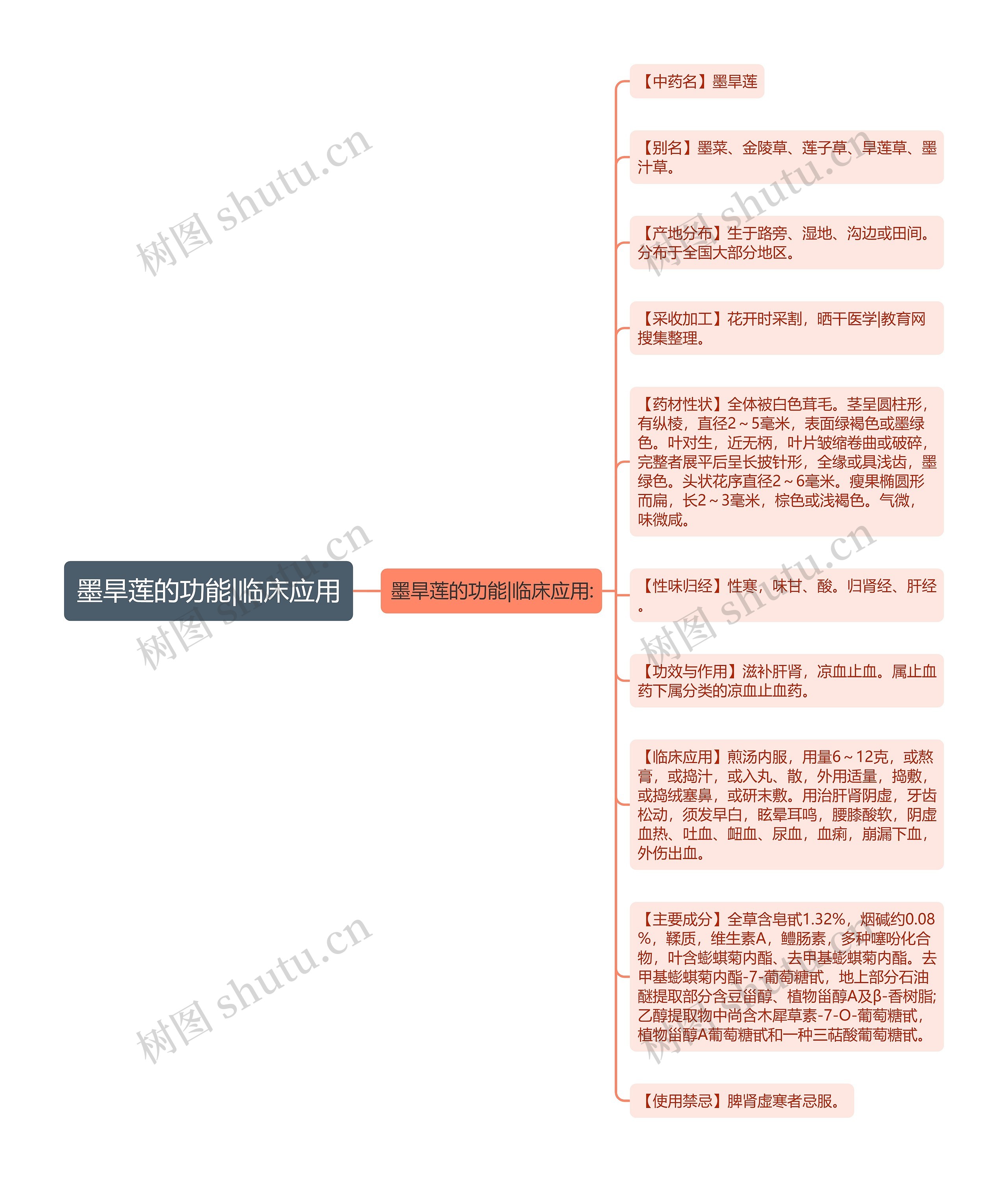 墨旱莲的功能|临床应用