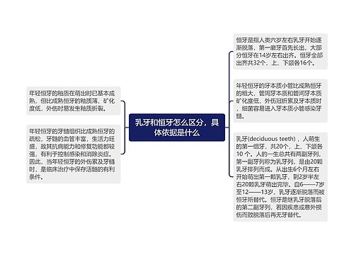 乳牙和恒牙怎么区分，具体依据是什么