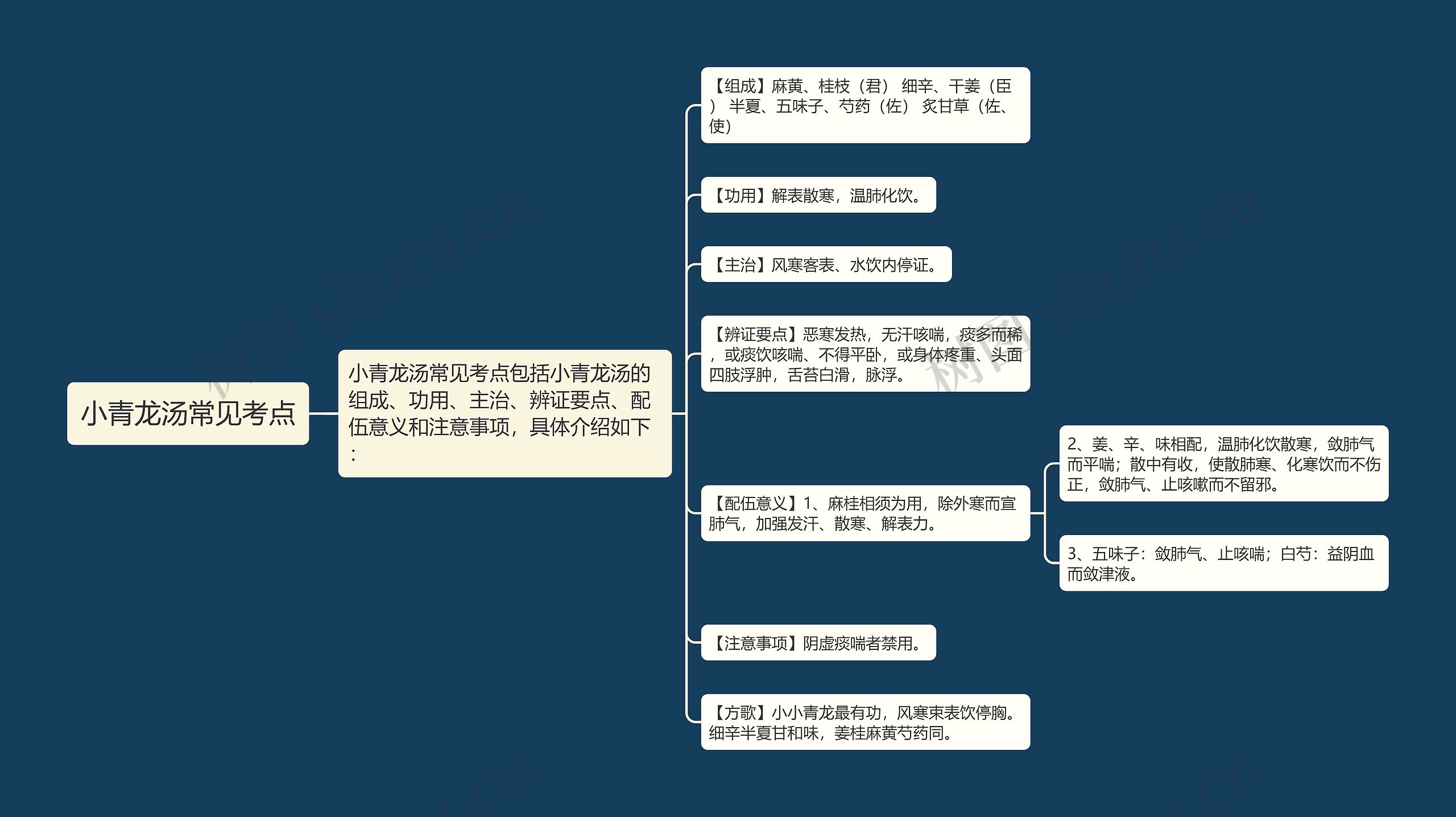 小青龙汤常见考点