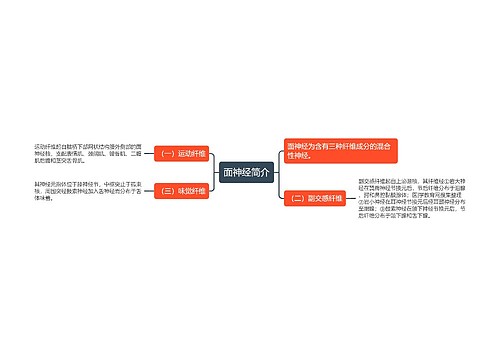 面神经简介