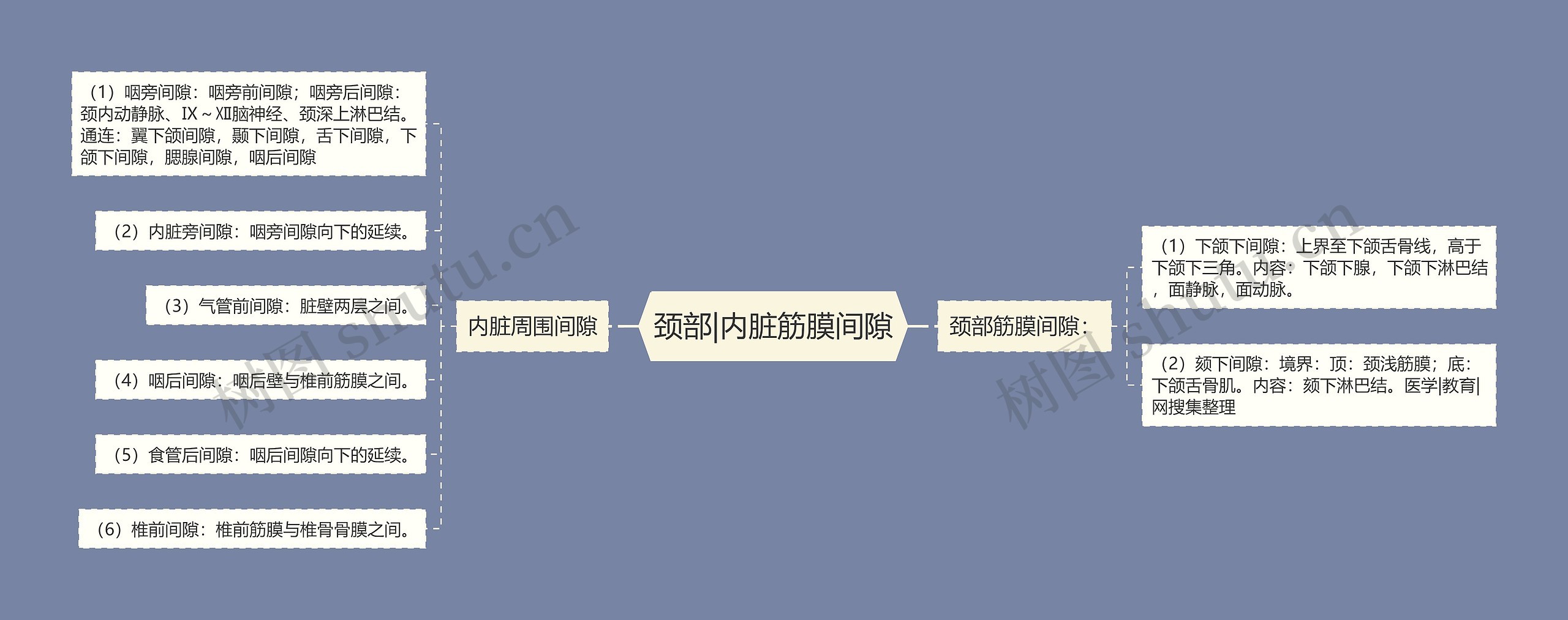 颈部|内脏筋膜间隙 颈部|内脏筋膜间隙