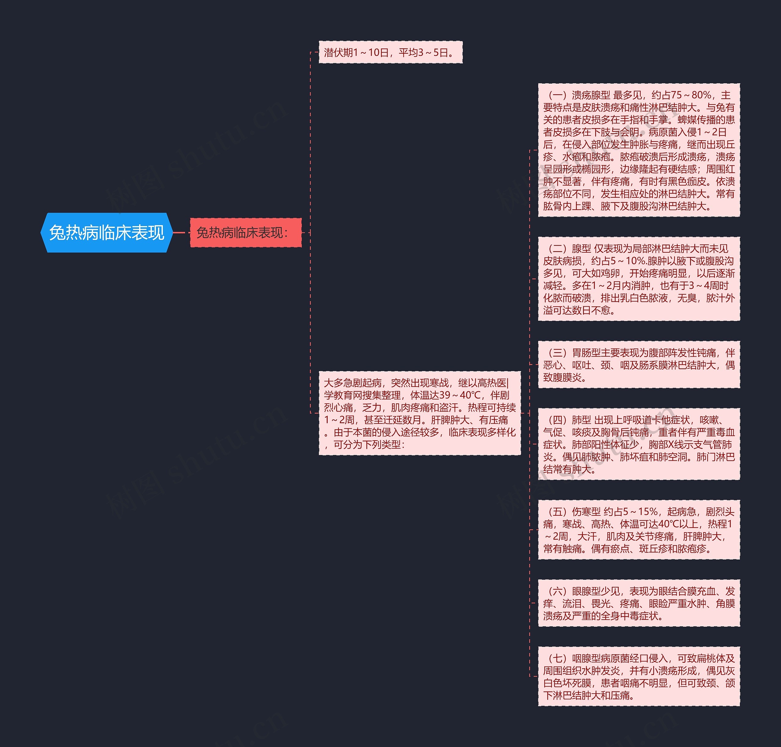 兔热病临床表现思维导图