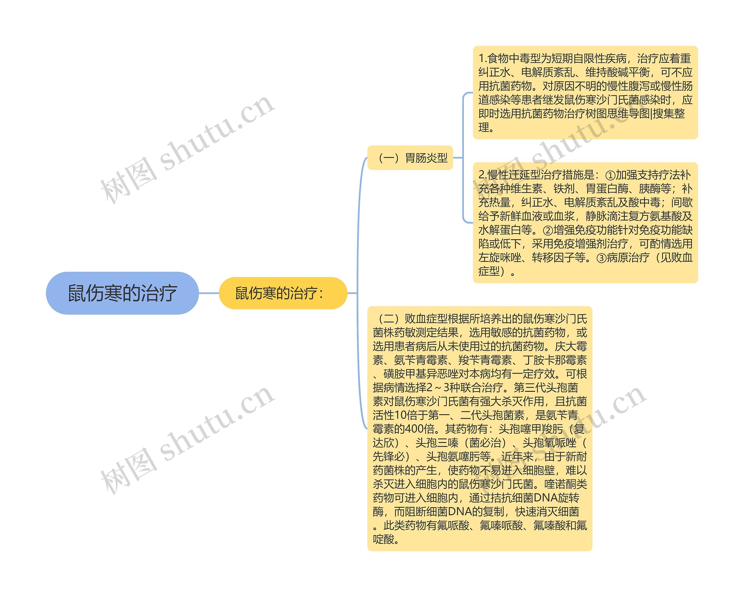 鼠伤寒的治疗思维导图