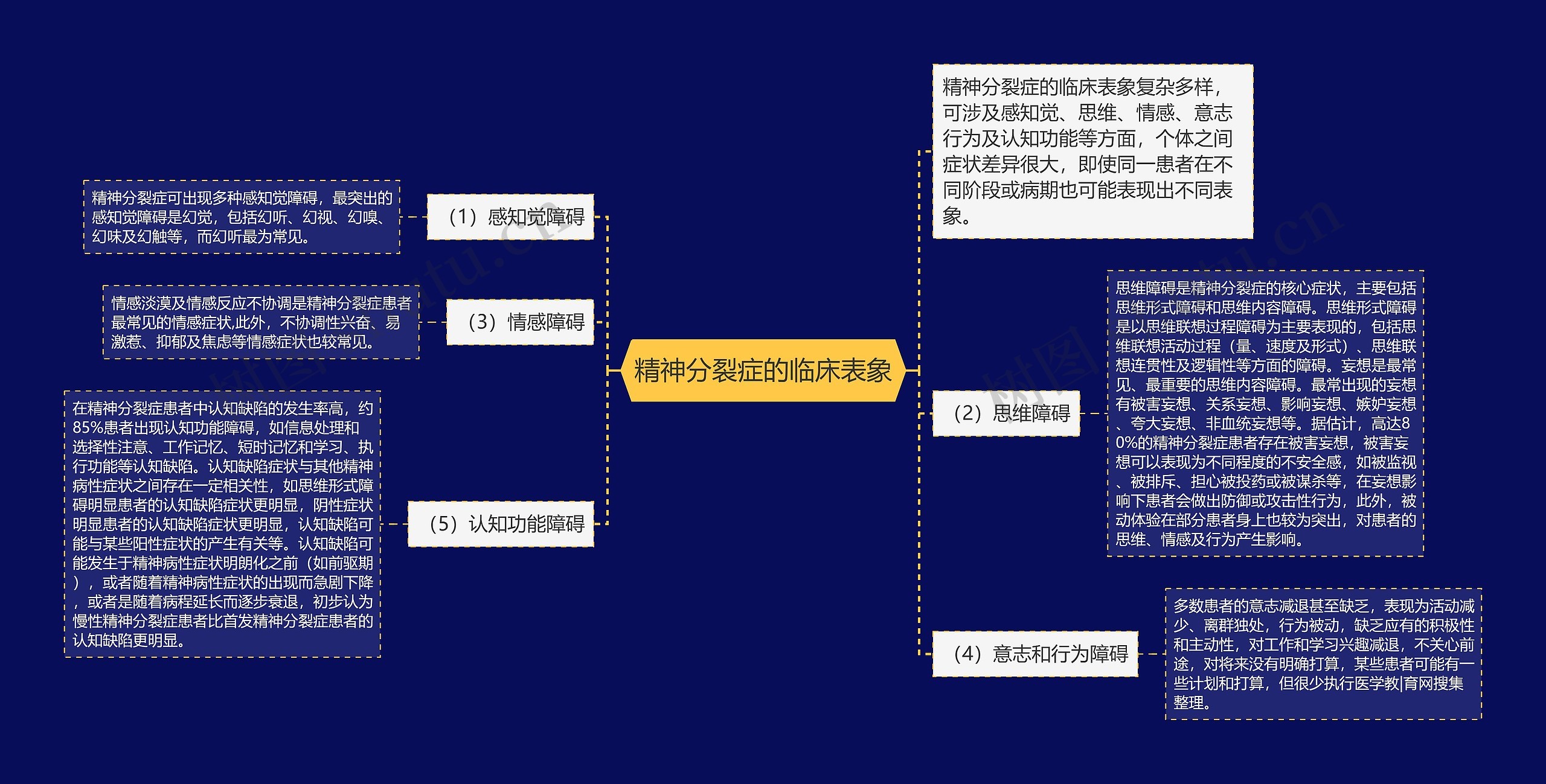 精神分裂症的临床表象