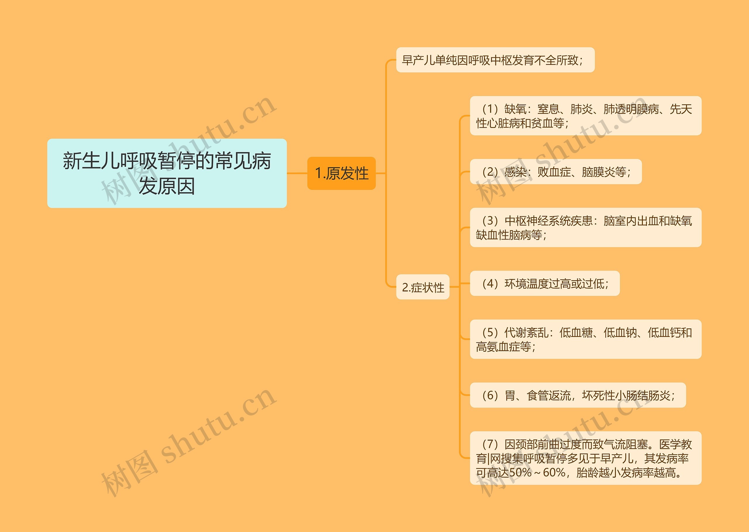 新生儿呼吸暂停的常见病发原因思维导图