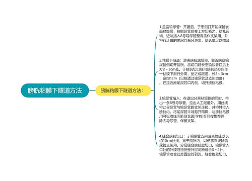 膀胱粘膜下隧道方法