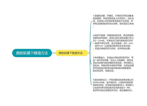 膀胱粘膜下隧道方法