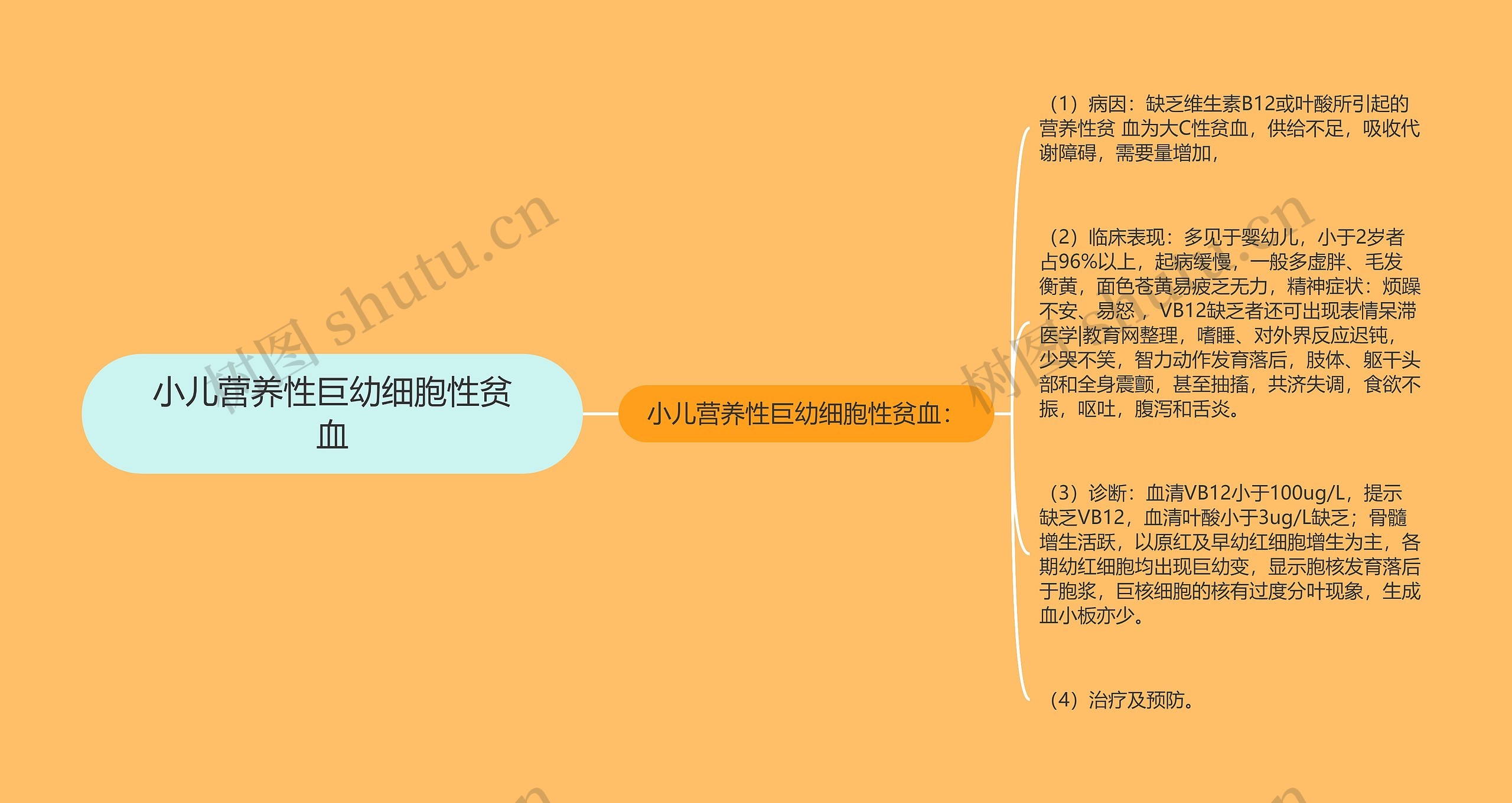 小儿营养性巨幼细胞性贫血 小儿营养性巨幼细胞性贫血