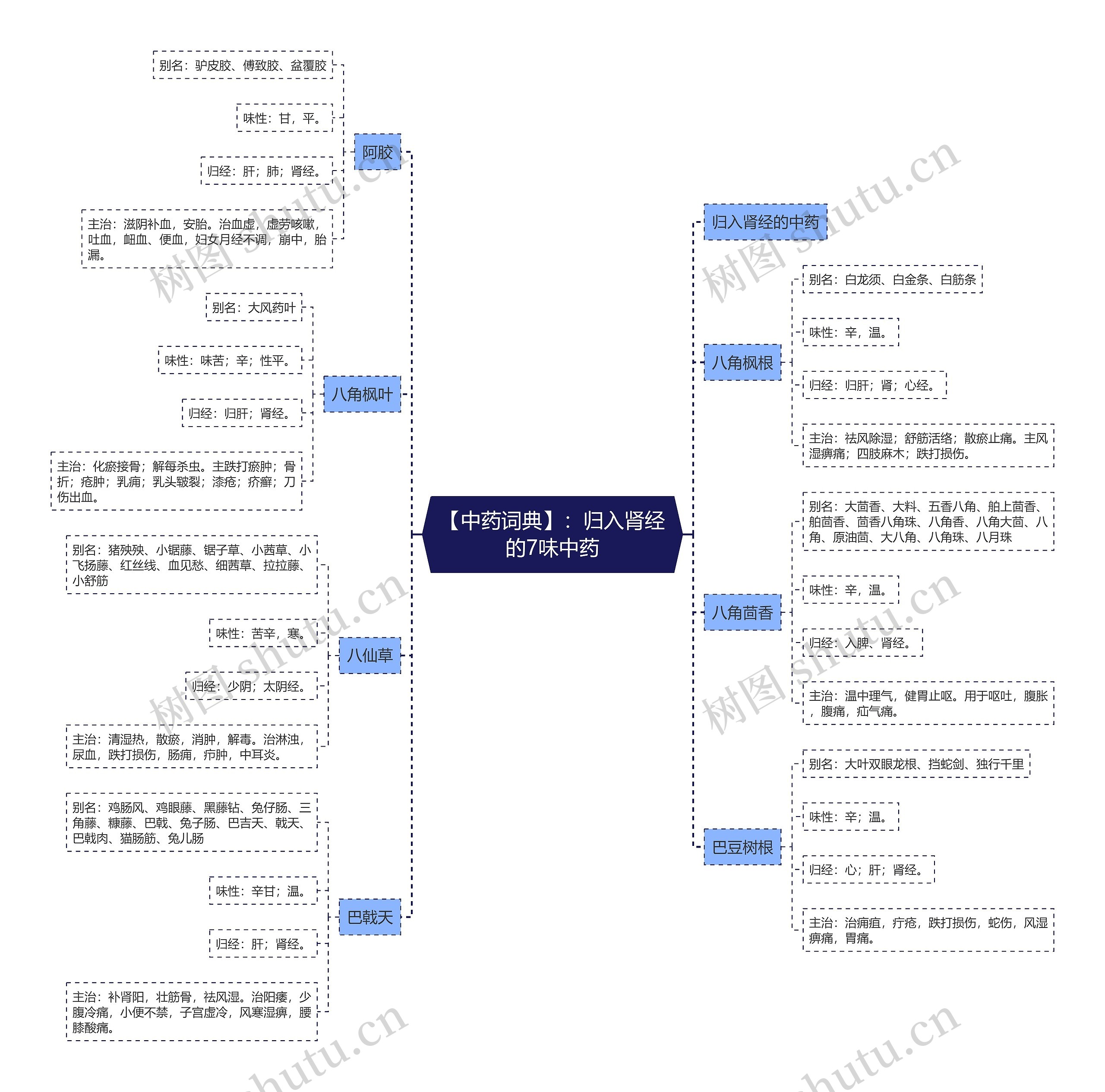 【中药词典】:归入肾经的7味中药 【中药词典】:归入肾经的7味中药