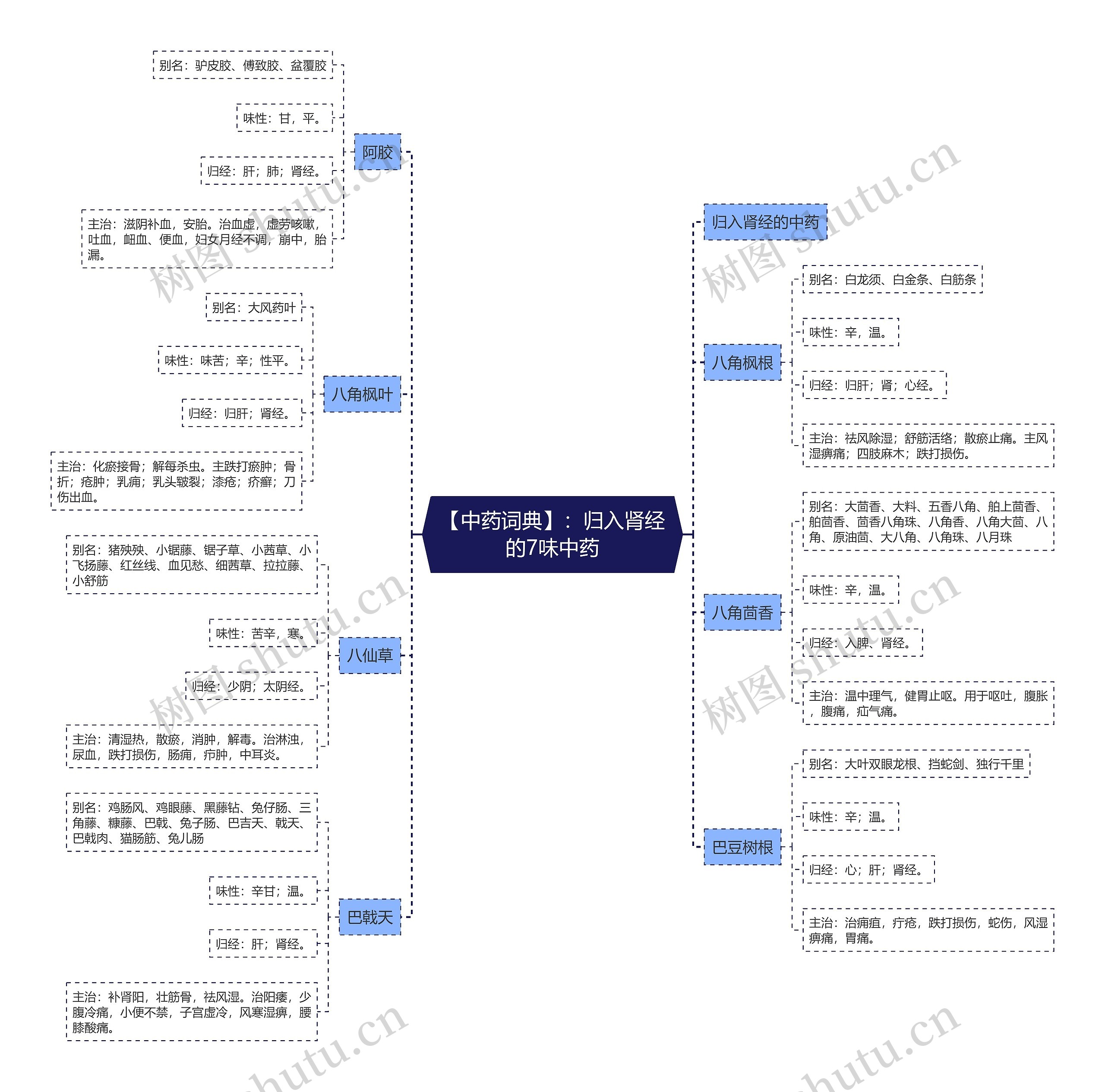 【中药词典】：归入肾经的7味中药思维导图
