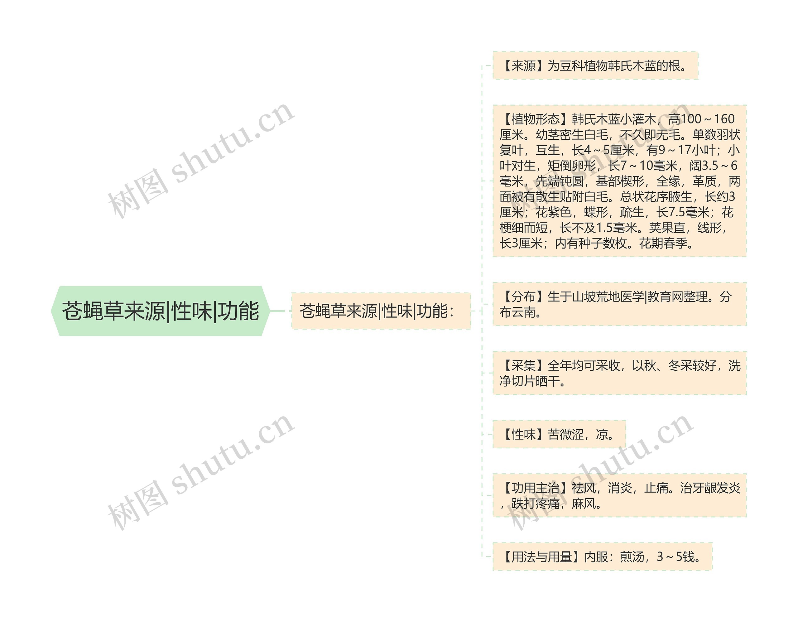 苍蝇草来源|性味|功能思维导图