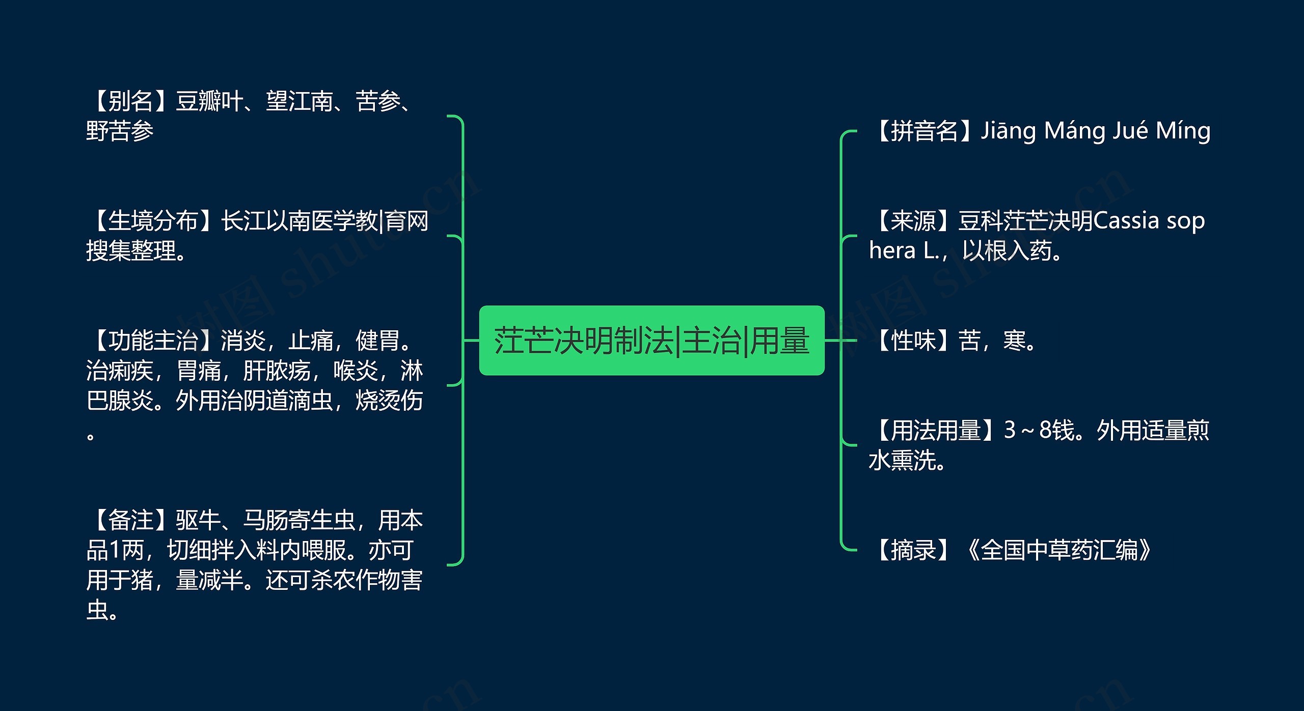 茳芒决明制法|主治|用量思维导图