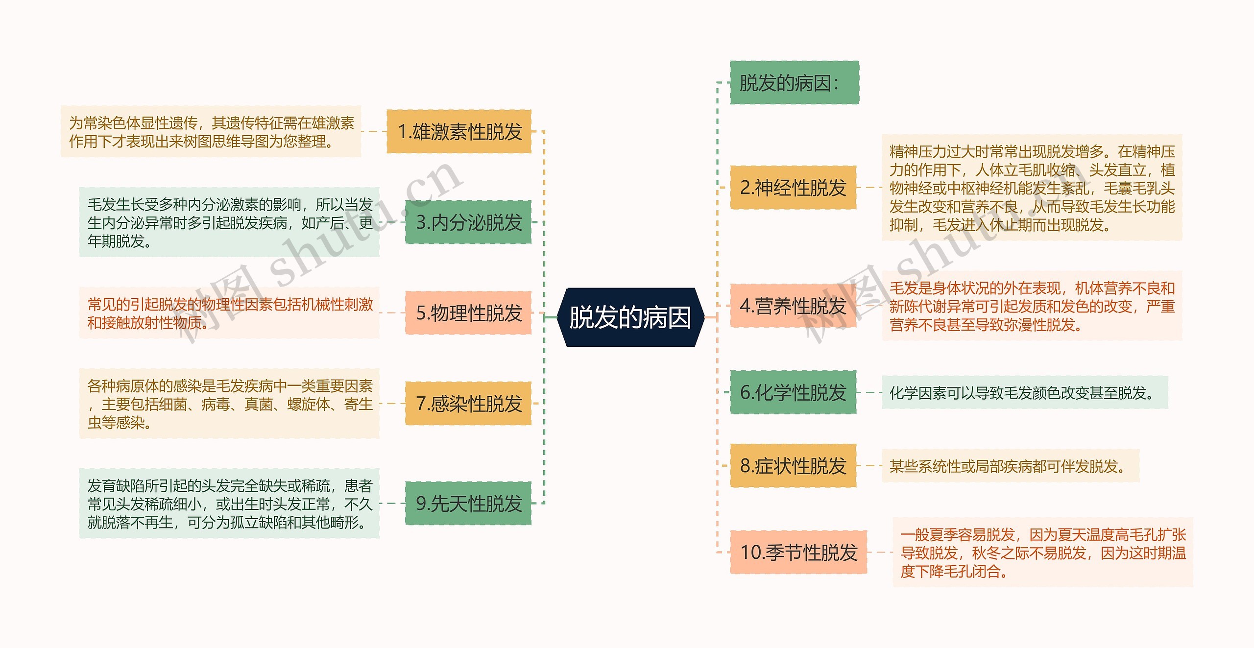 脱发的病因思维导图