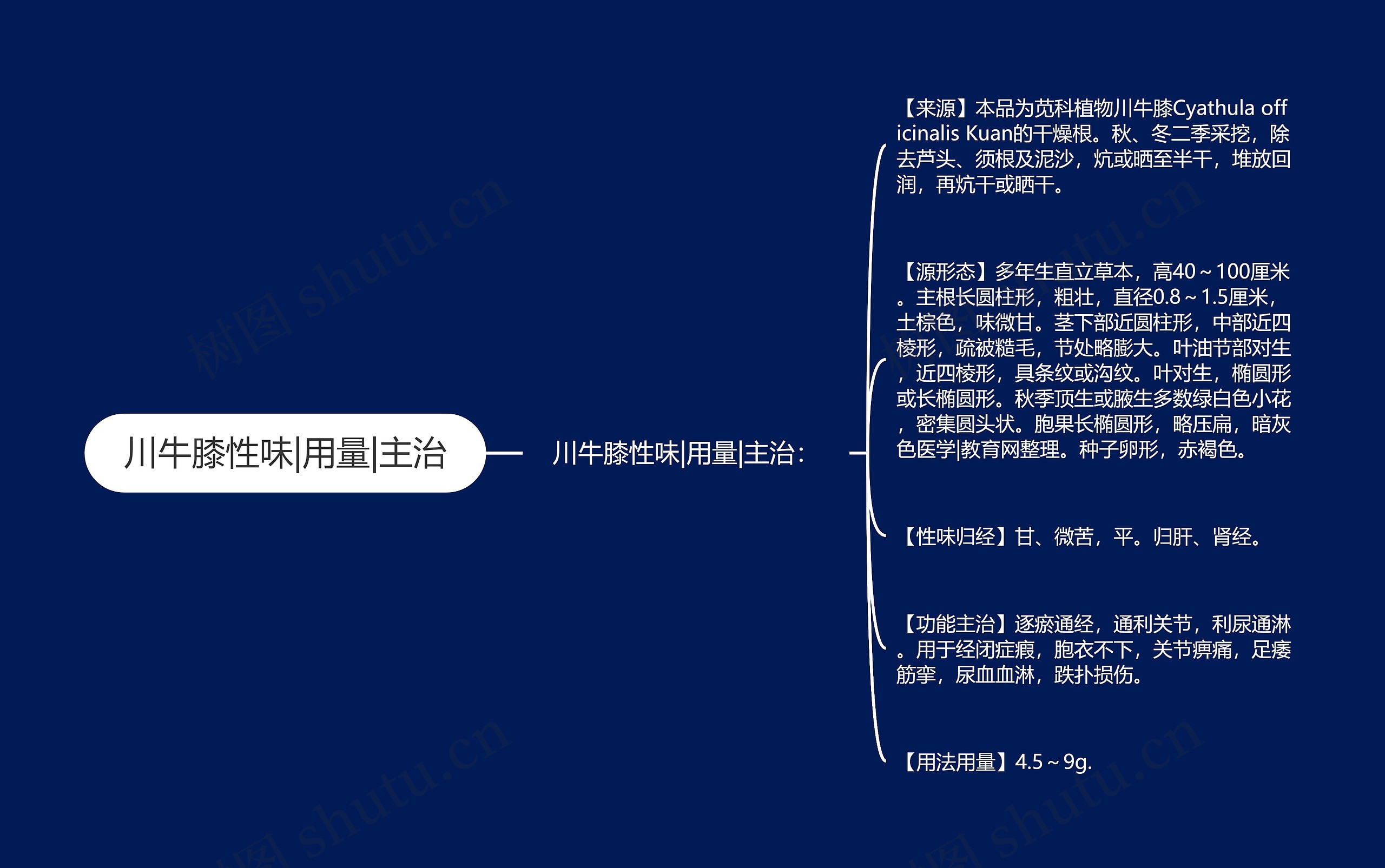 川牛膝性味|用量|主治 川牛膝性味|用量|主治