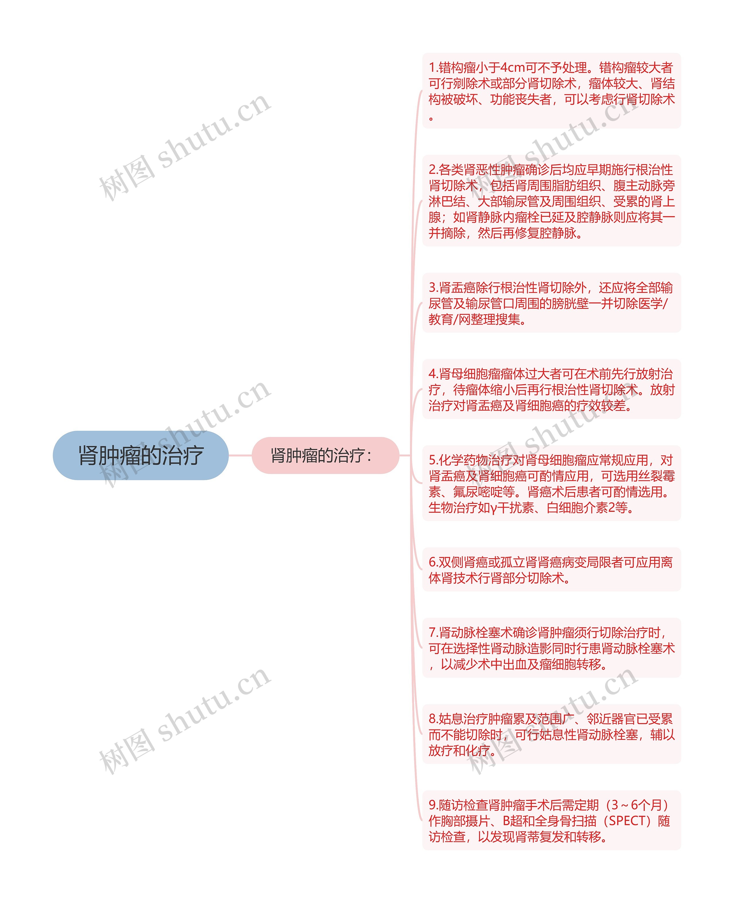 肾肿瘤的治疗思维导图