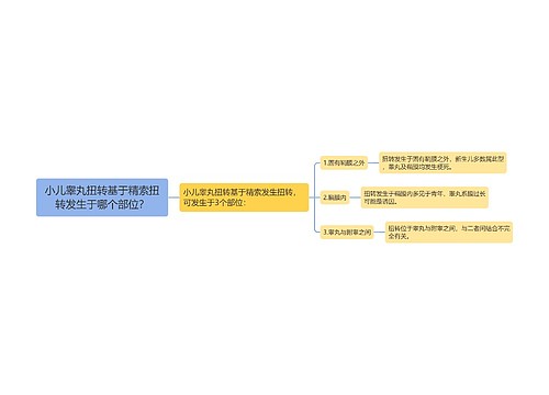 小儿睾丸扭转基于精索扭转发生于哪个部位？