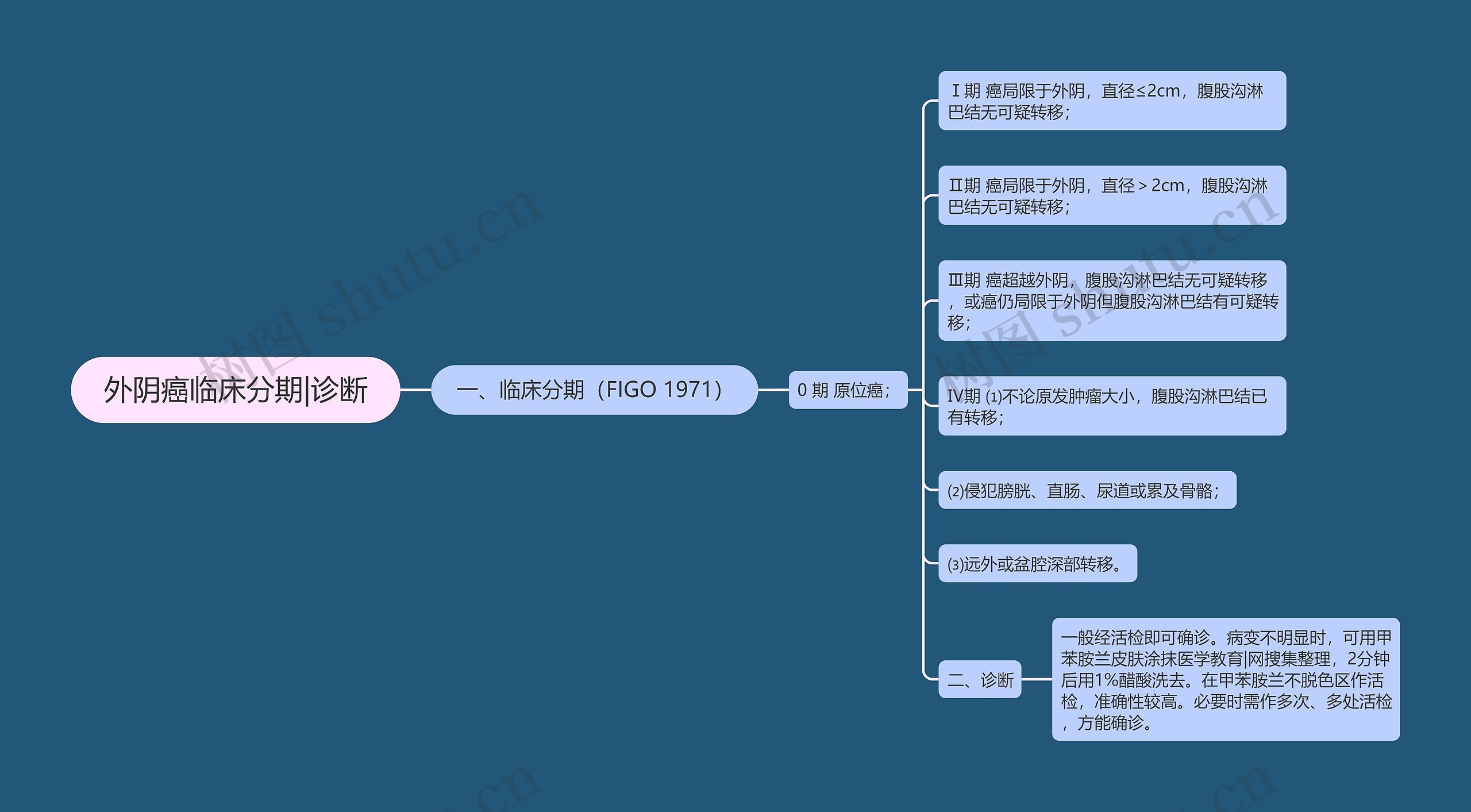 外阴癌临床分期|诊断思维导图