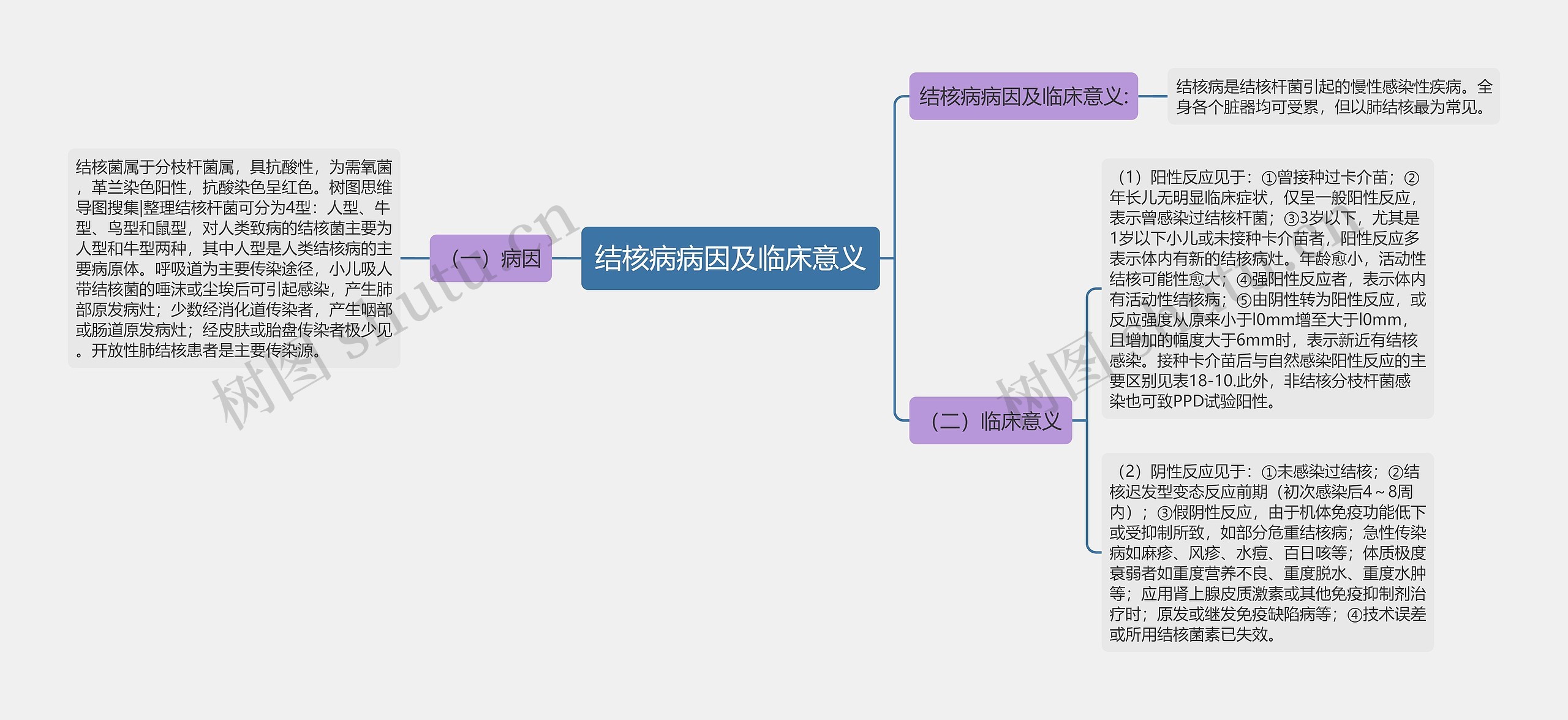 结核病病因及临床意义思维导图