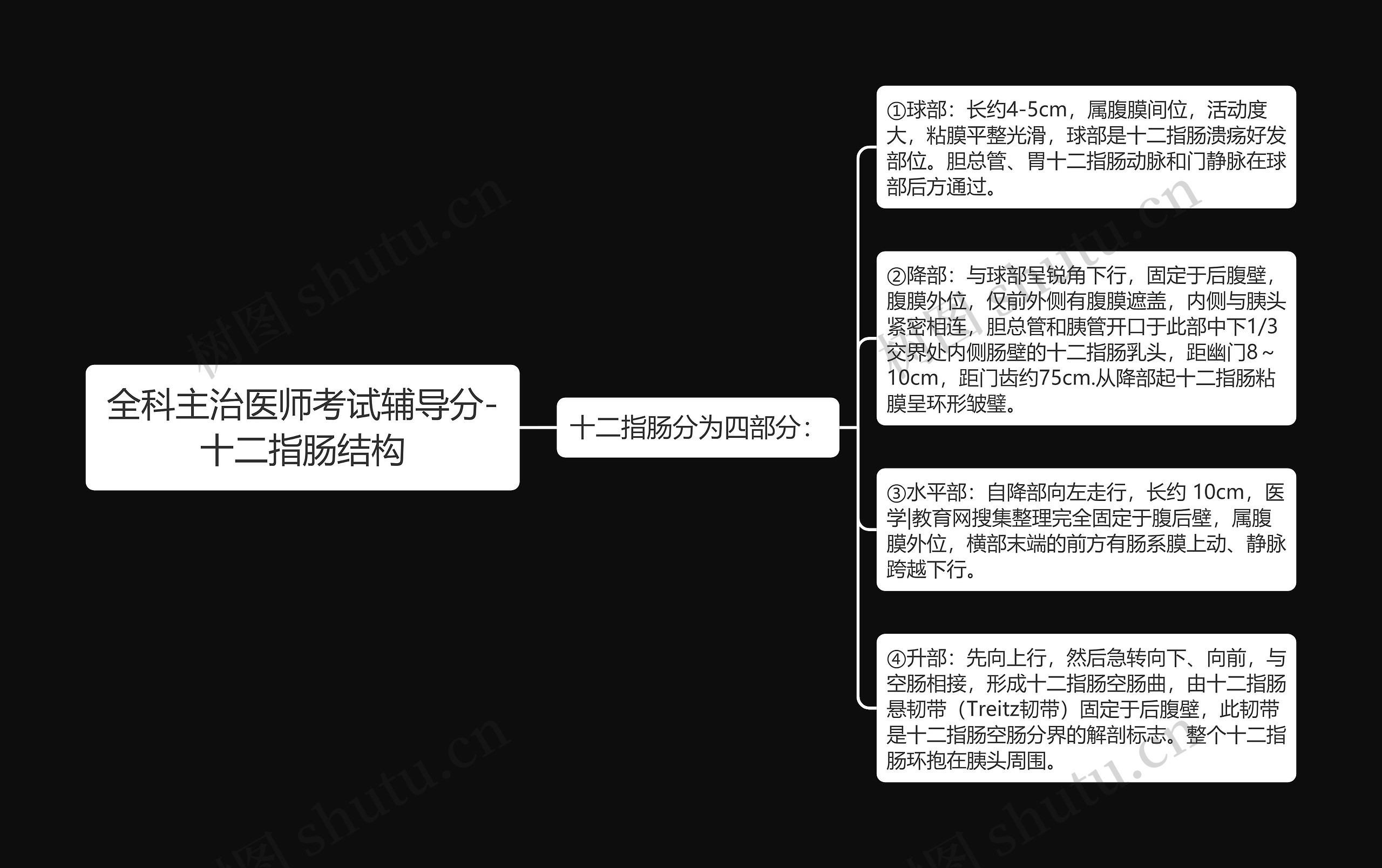 全科主治医师考试辅导分-十二指肠结构思维导图