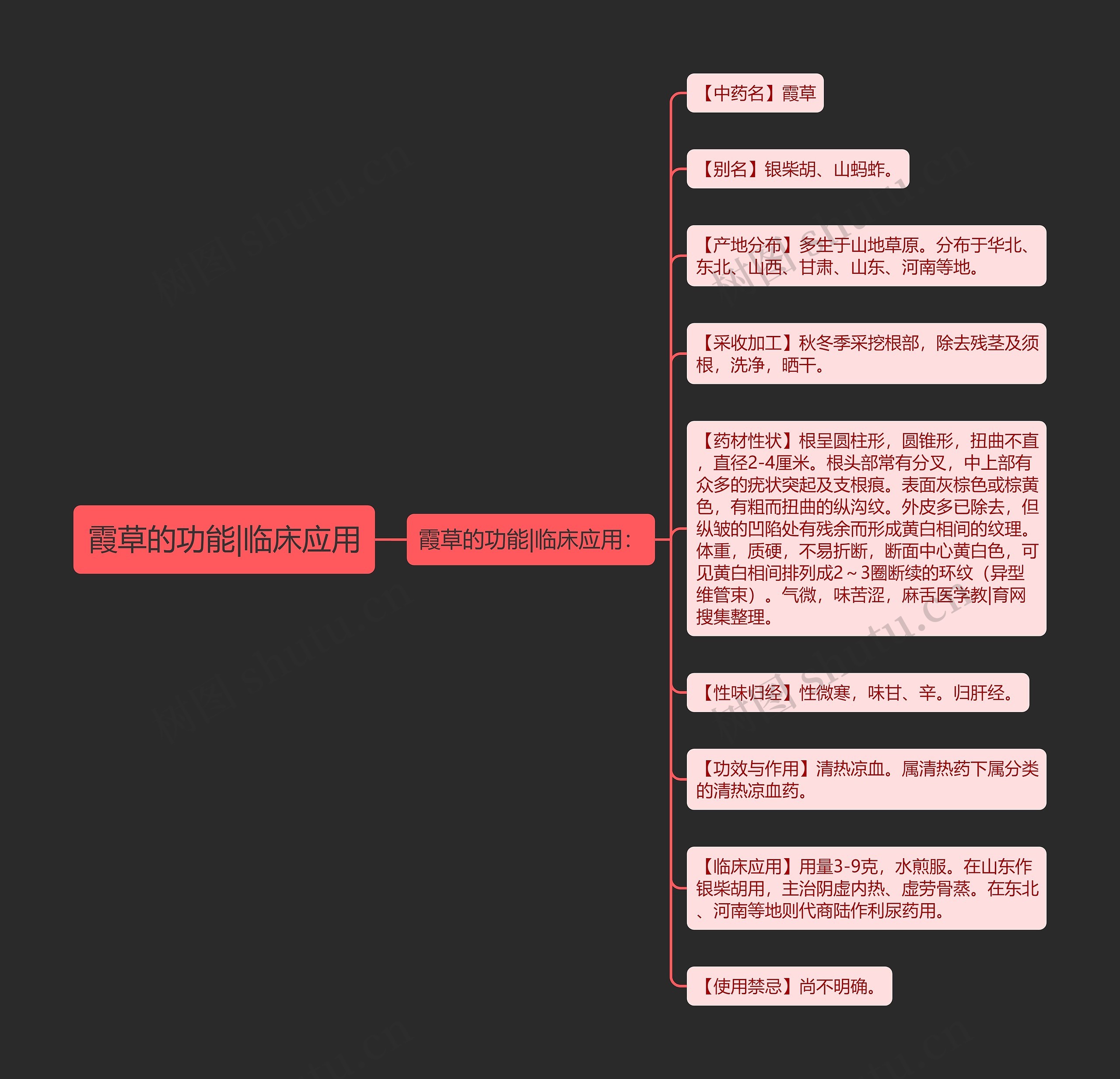 霞草的功能|临床应用思维导图