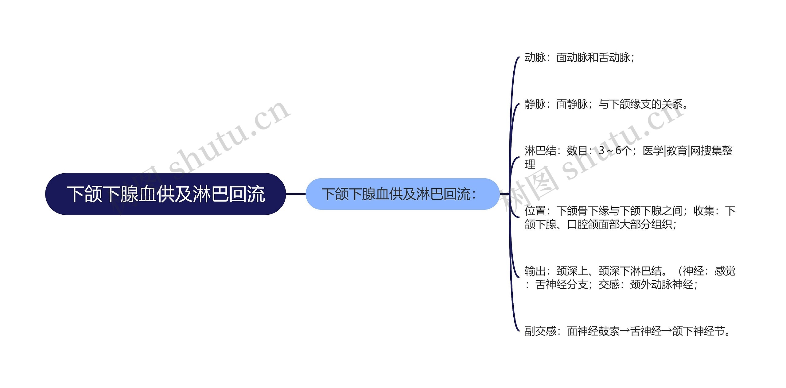 下颌下腺血供及淋巴回流