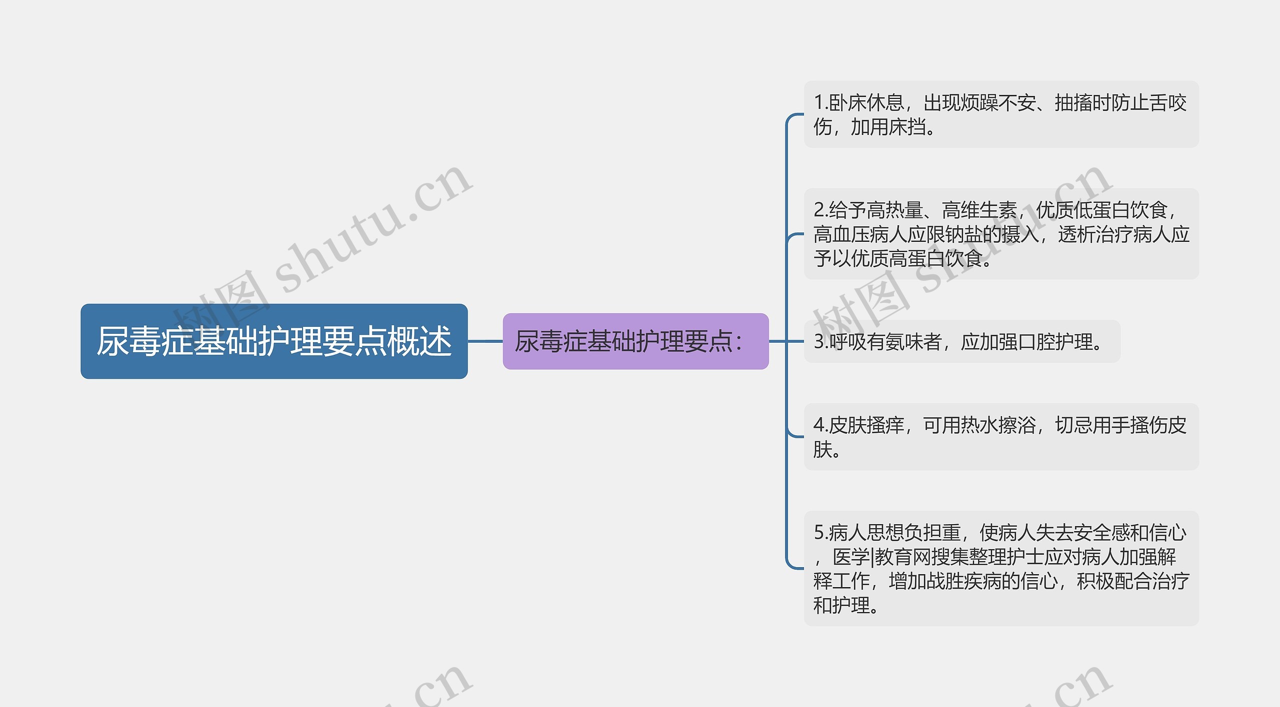 尿毒症基础护理要点概述