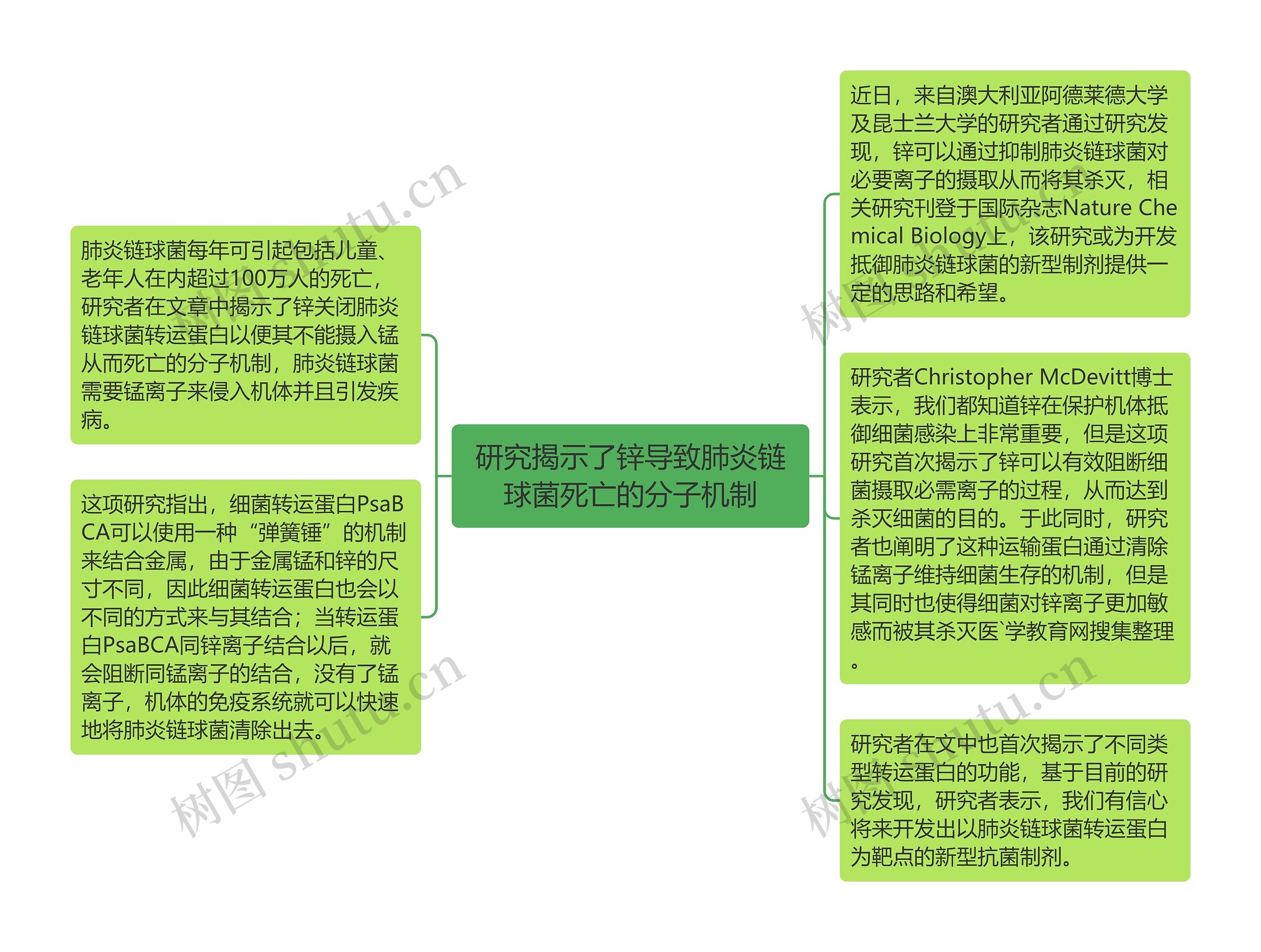 研究揭示了锌导致肺炎链球菌死亡的分子机制