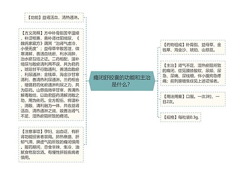 癃闭舒胶囊的功能和主治是什么？