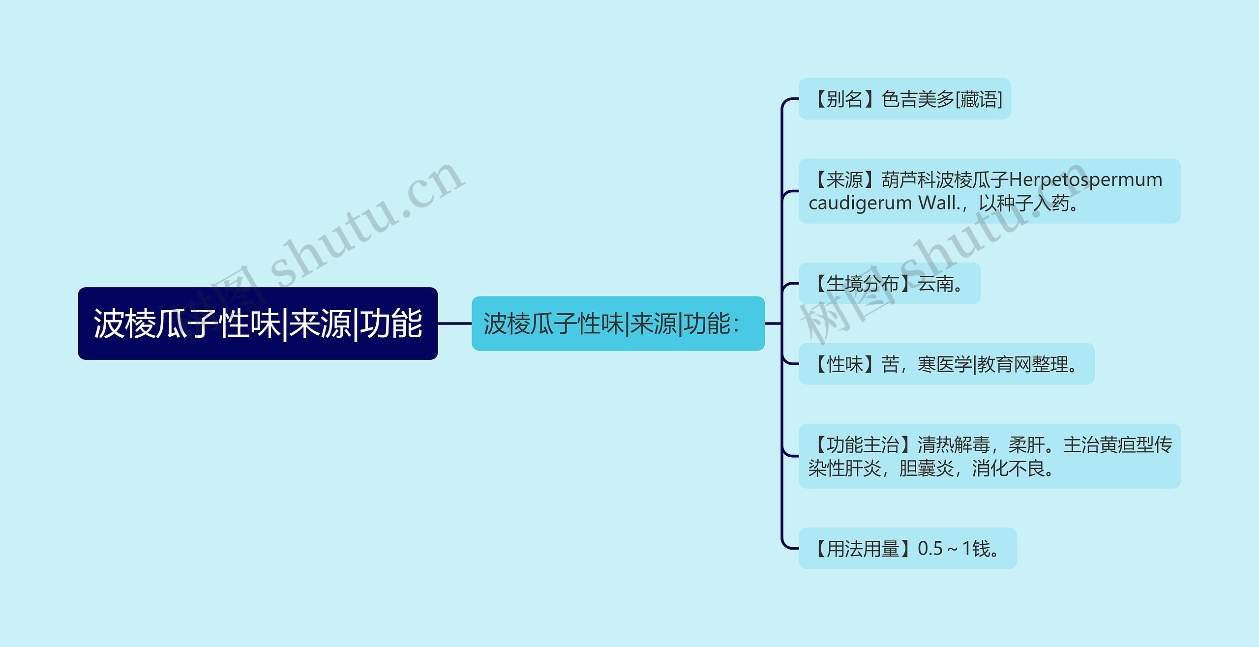 波棱瓜子性味|来源|功能思维导图