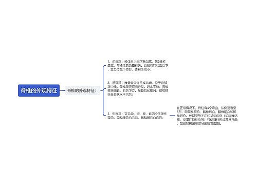 脊椎的外观特征