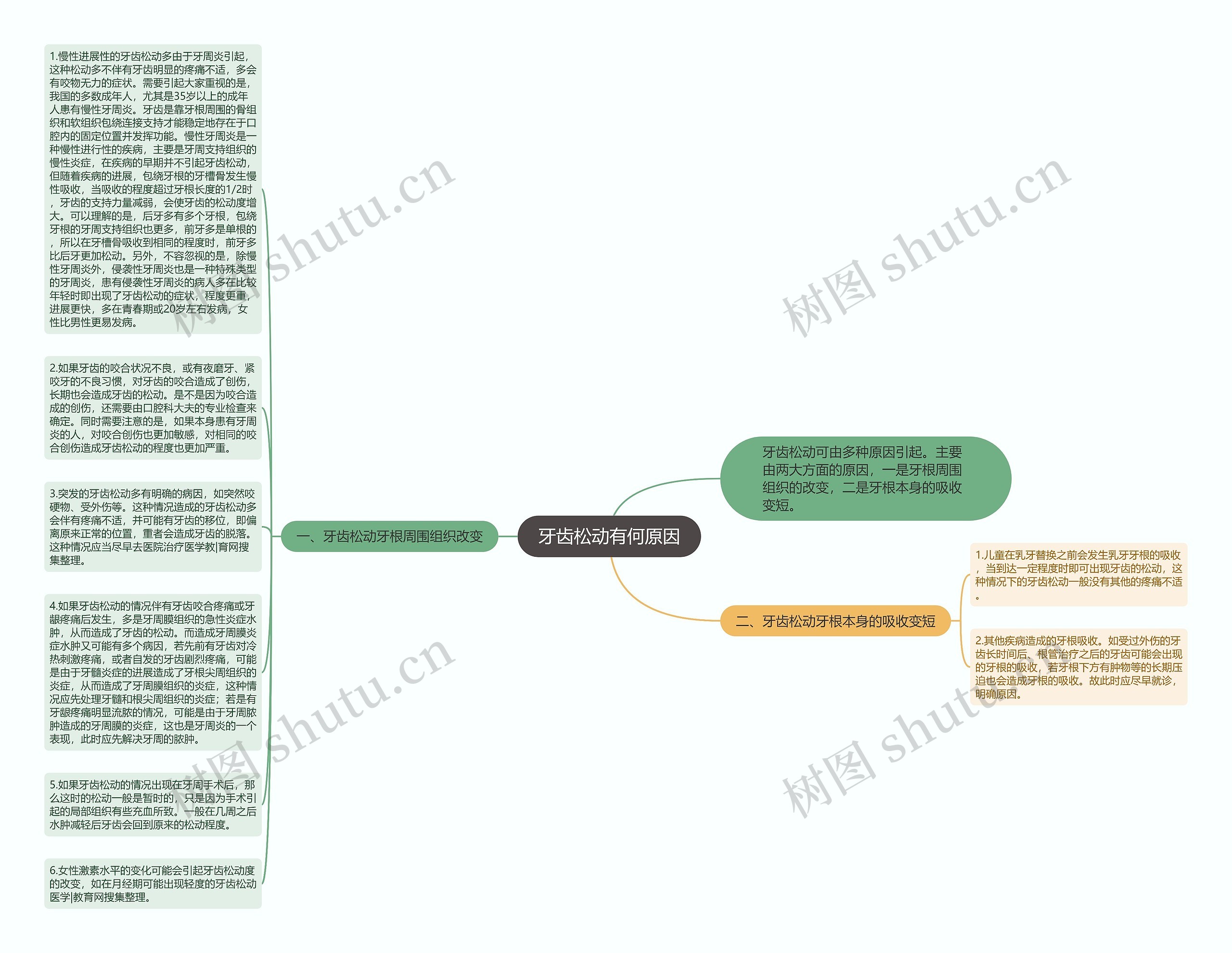 牙齿松动有何原因思维导图