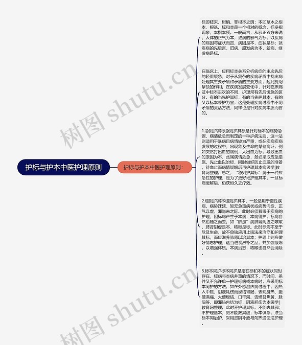 护标与护本中医护理原则思维导图_编号p6807020-TreeMind树图