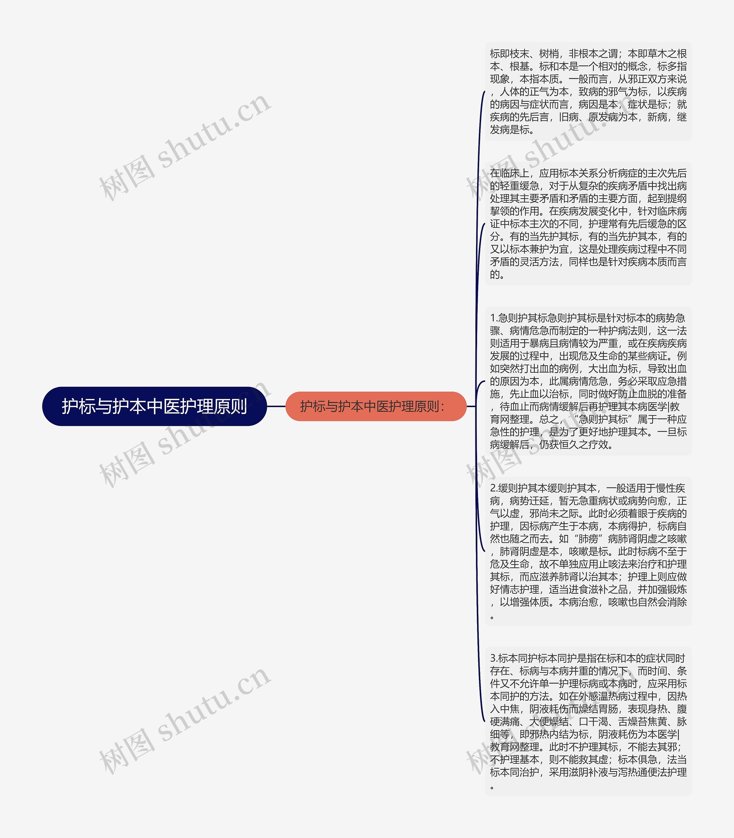 护标与护本中医护理原则思维导图