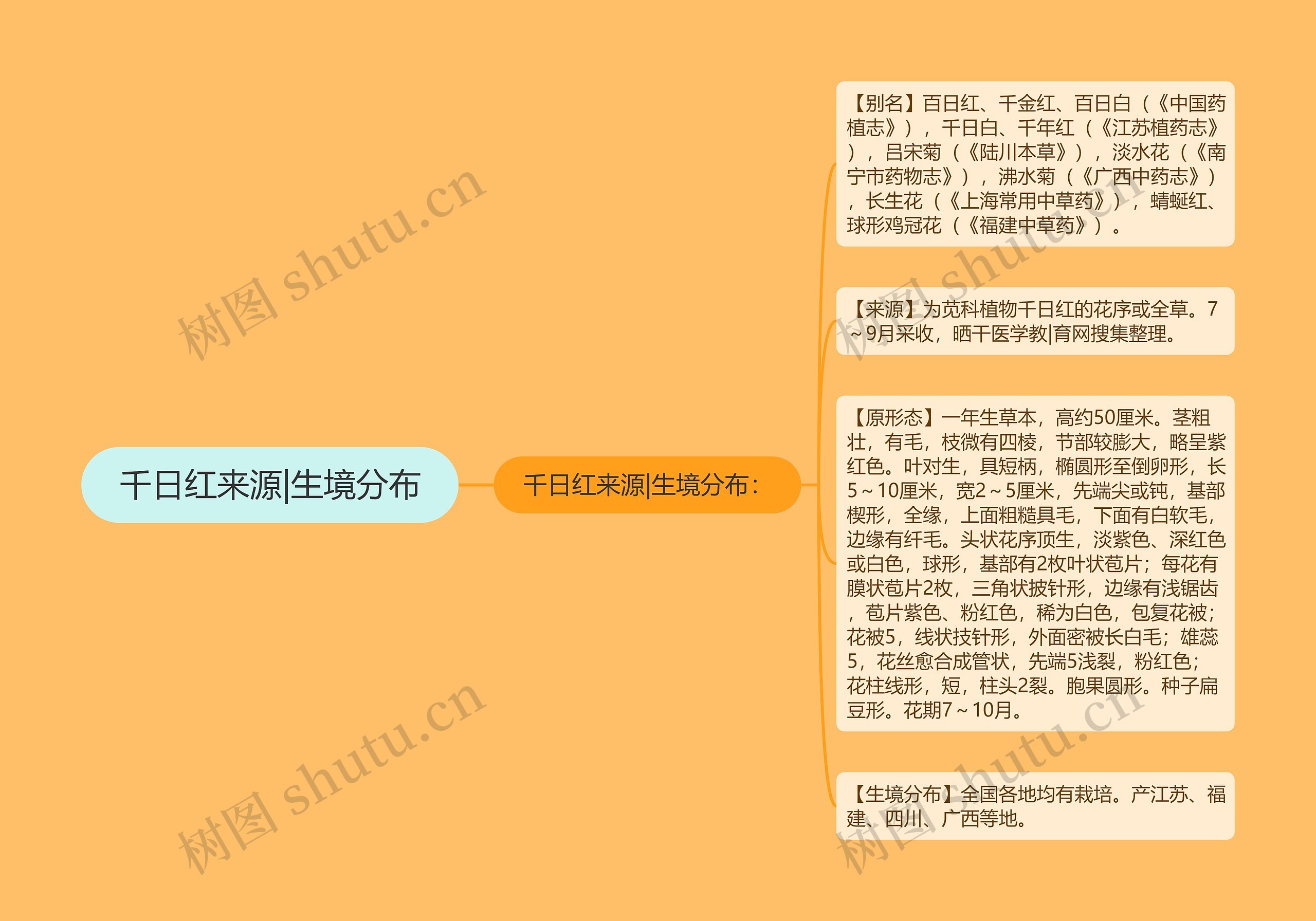 千日红来源|生境分布 千日红来源|生境分布